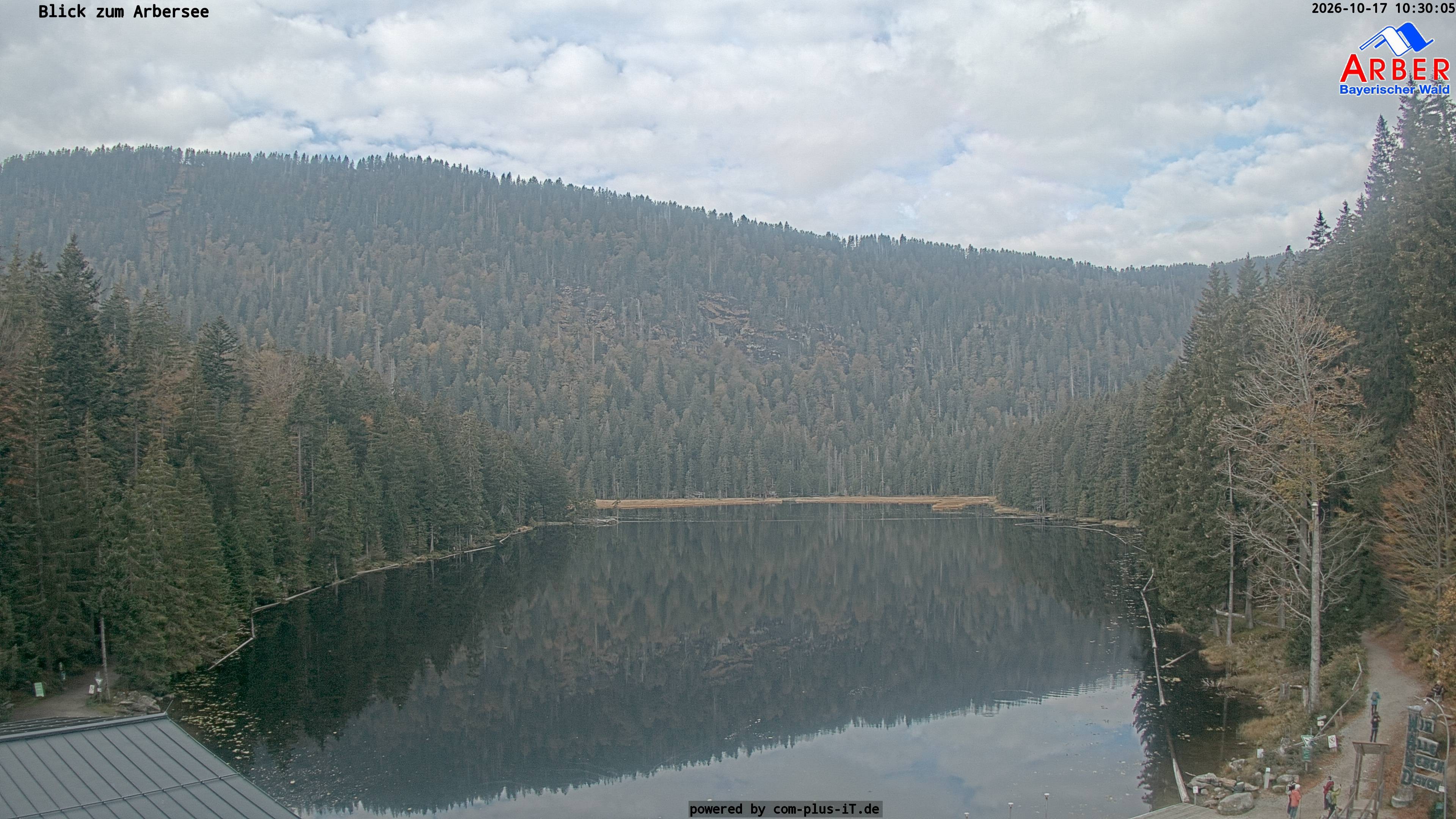 Archiv Foto Webcam Großer Arbersee - Bayerischer Wald
