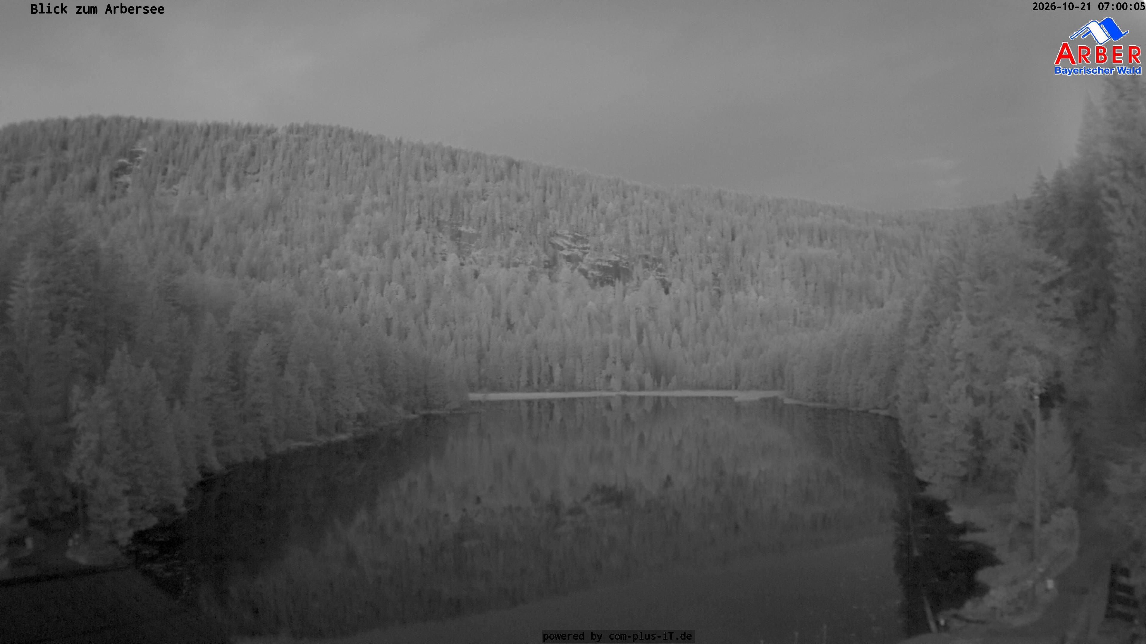 Archiv Foto Webcam Großer Arbersee - Bayerischer Wald