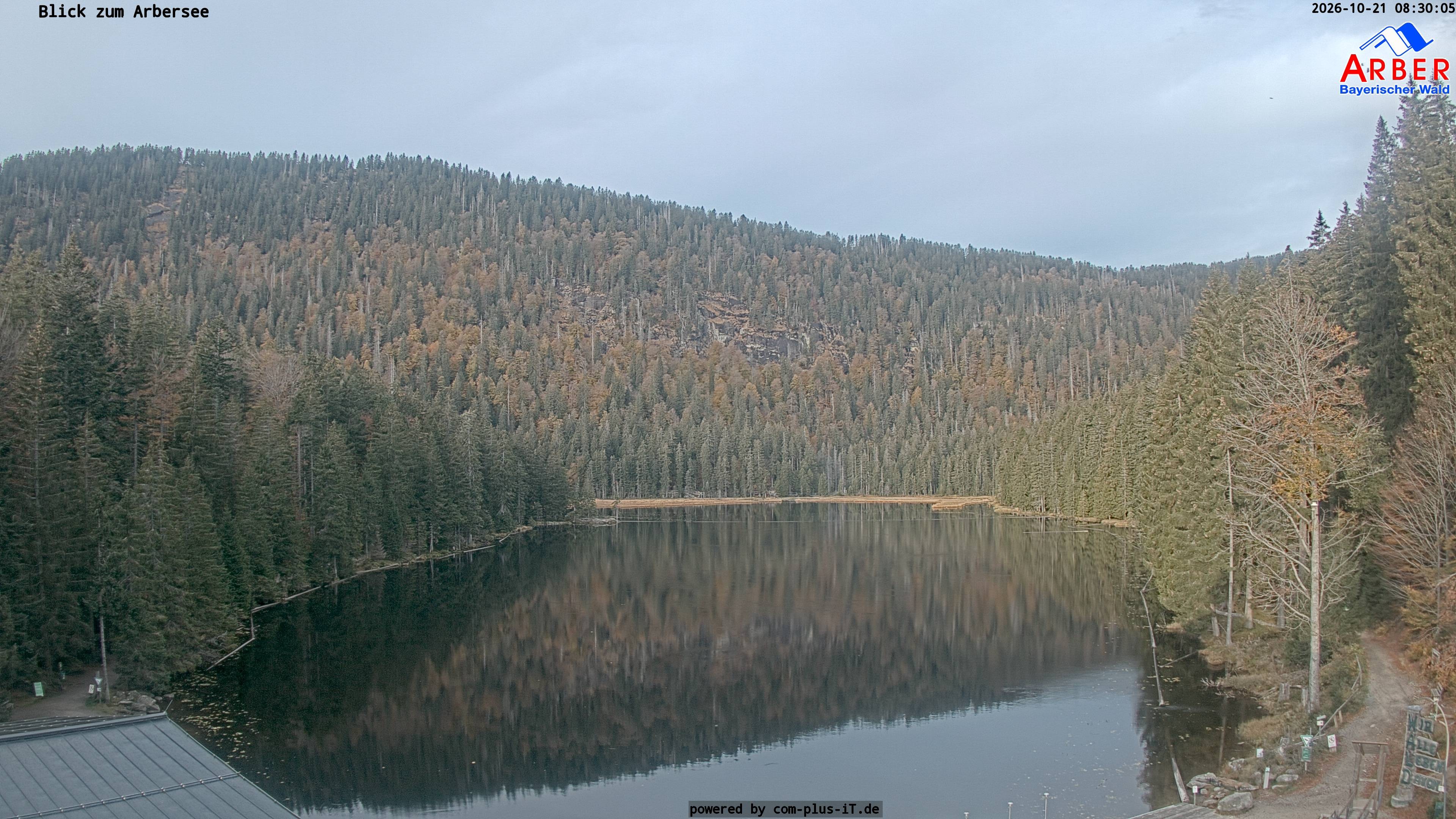Archiv Foto Webcam Großer Arbersee - Bayerischer Wald