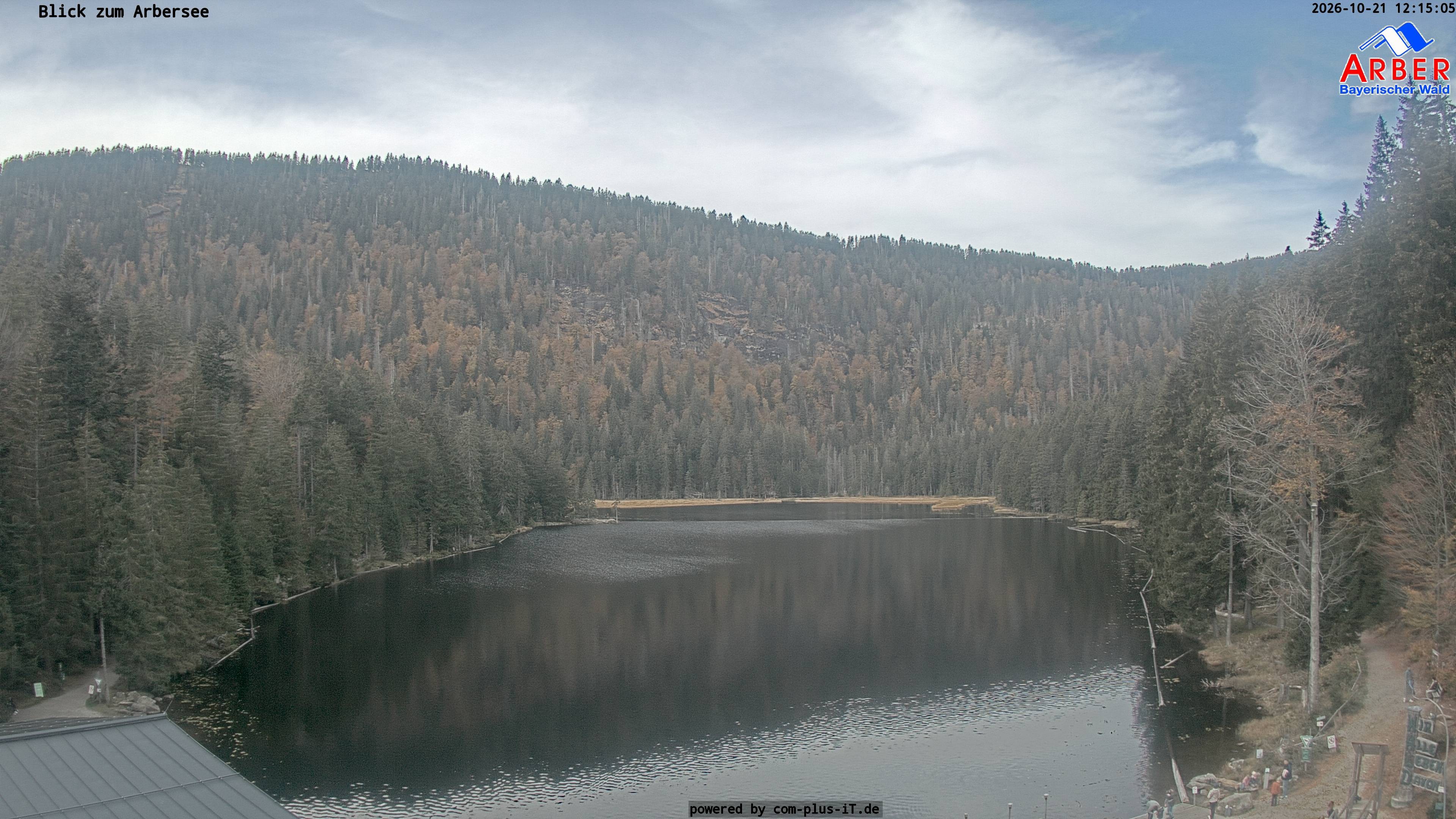 Archiv Foto Webcam Großer Arbersee - Bayerischer Wald