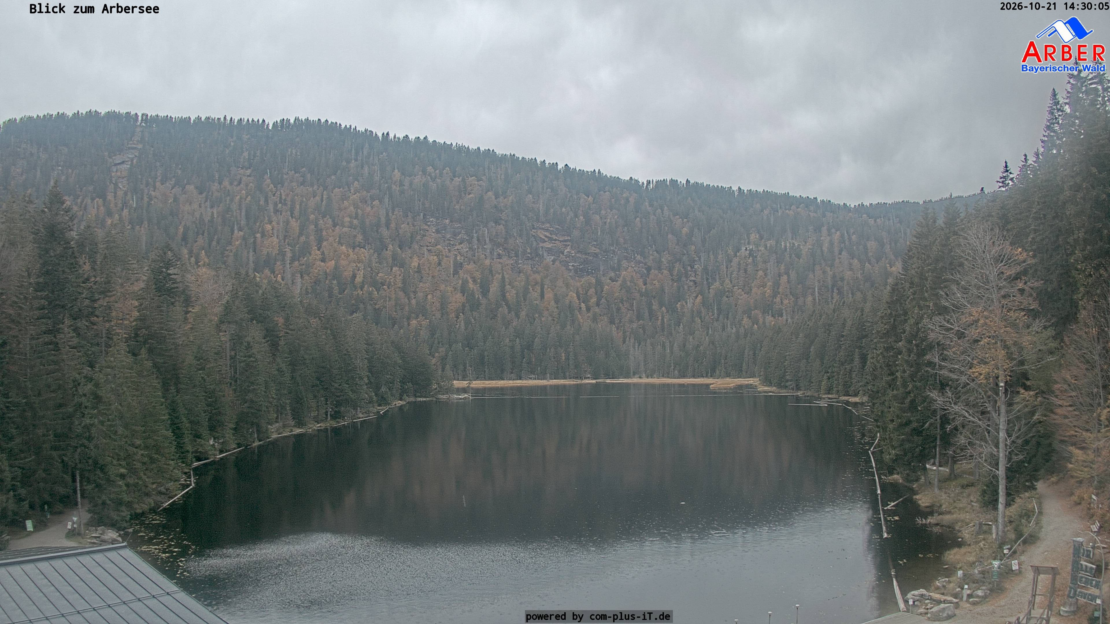 Archiv Foto Webcam Großer Arbersee - Bayerischer Wald