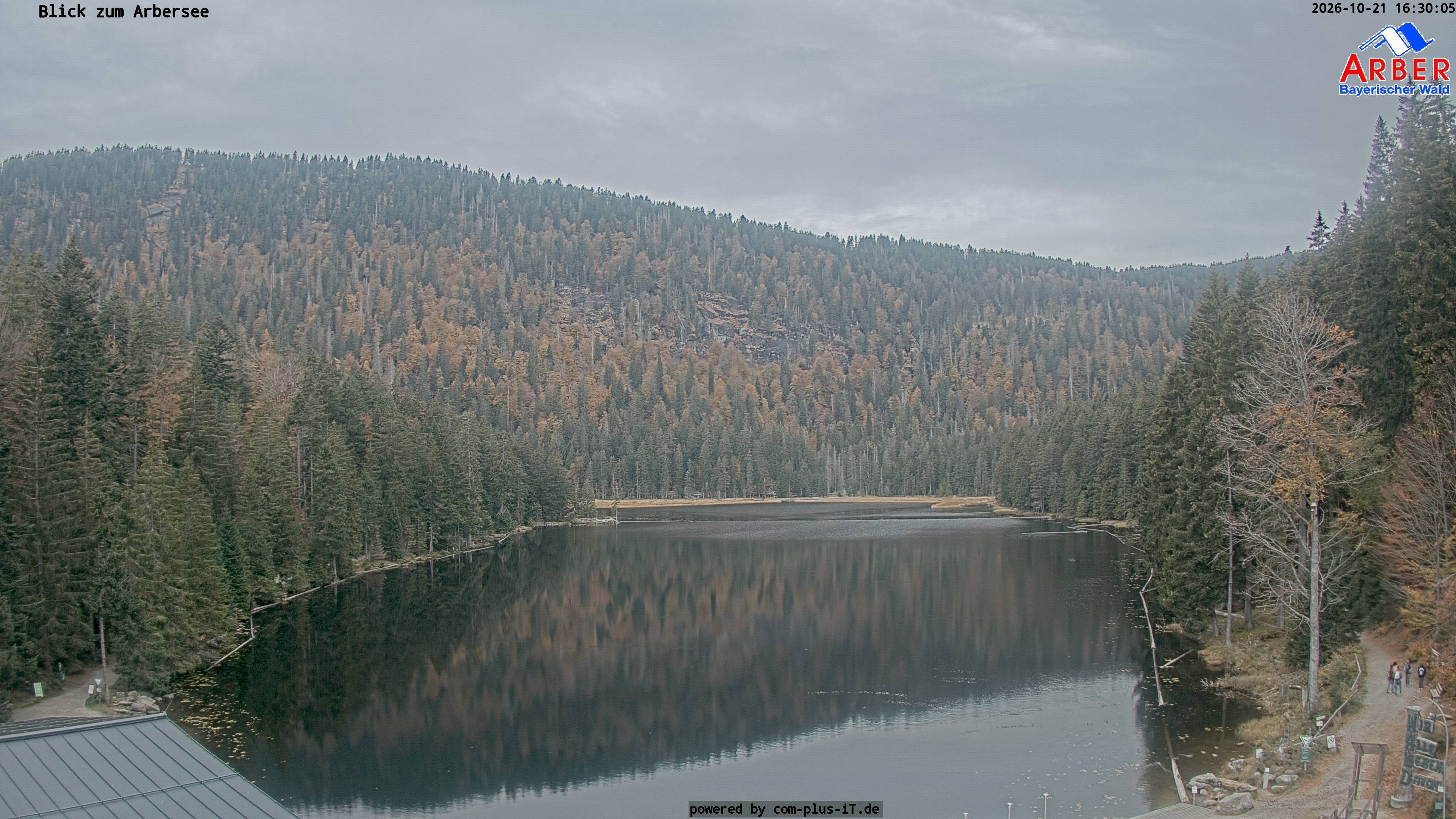 Archiv Foto Webcam Großer Arbersee - Bayerischer Wald