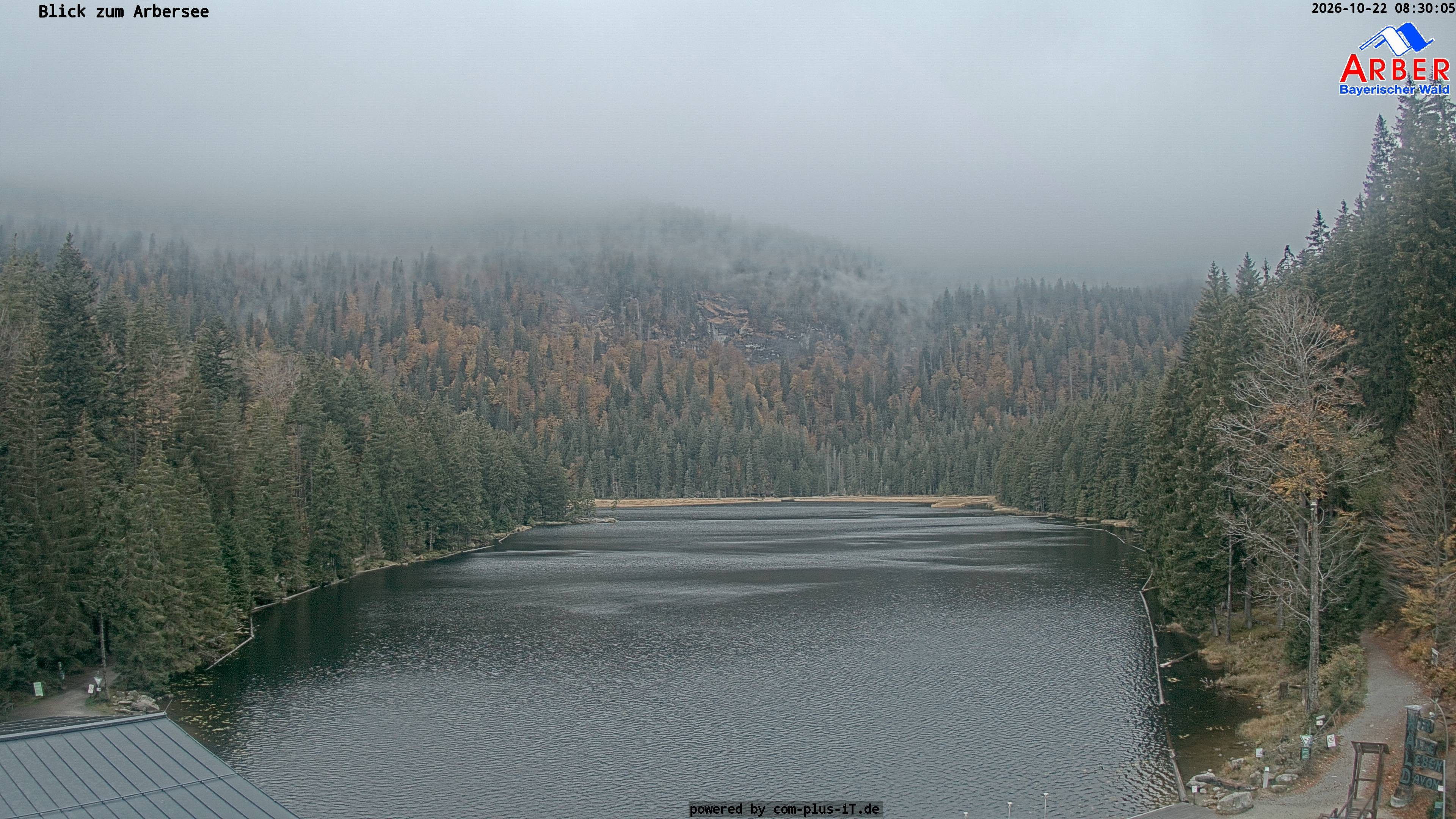 Archiv Foto Webcam Großer Arbersee - Bayerischer Wald