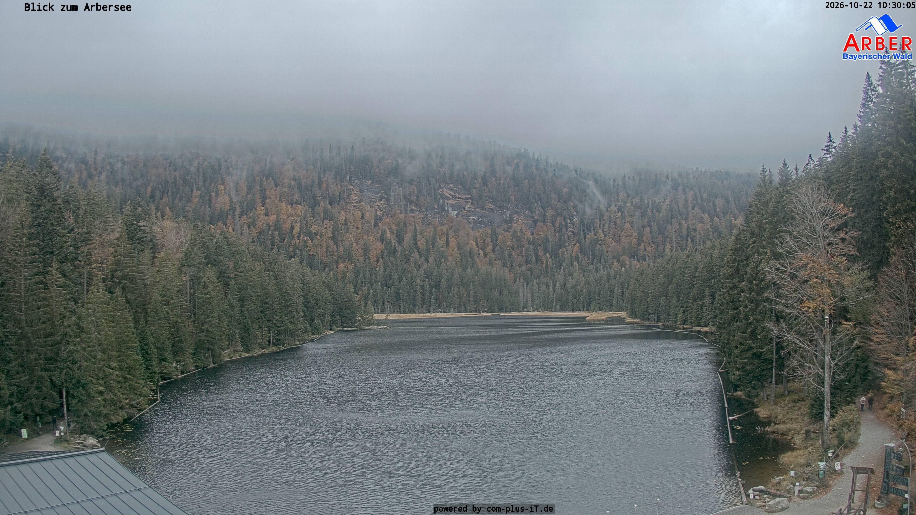 Archiv Foto Webcam Großer Arbersee - Bayerischer Wald