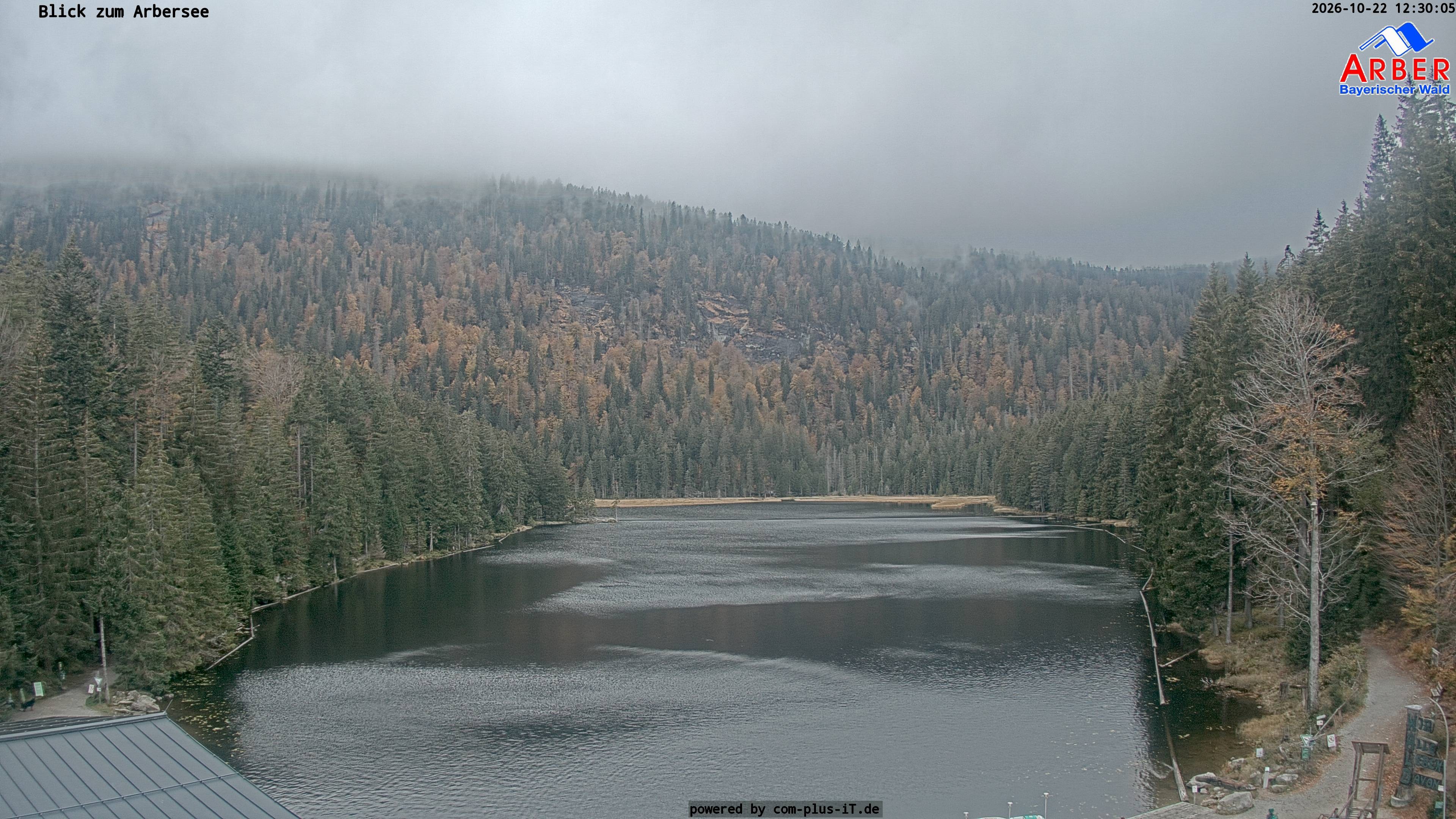 Archiv Foto Webcam Großer Arbersee - Bayerischer Wald