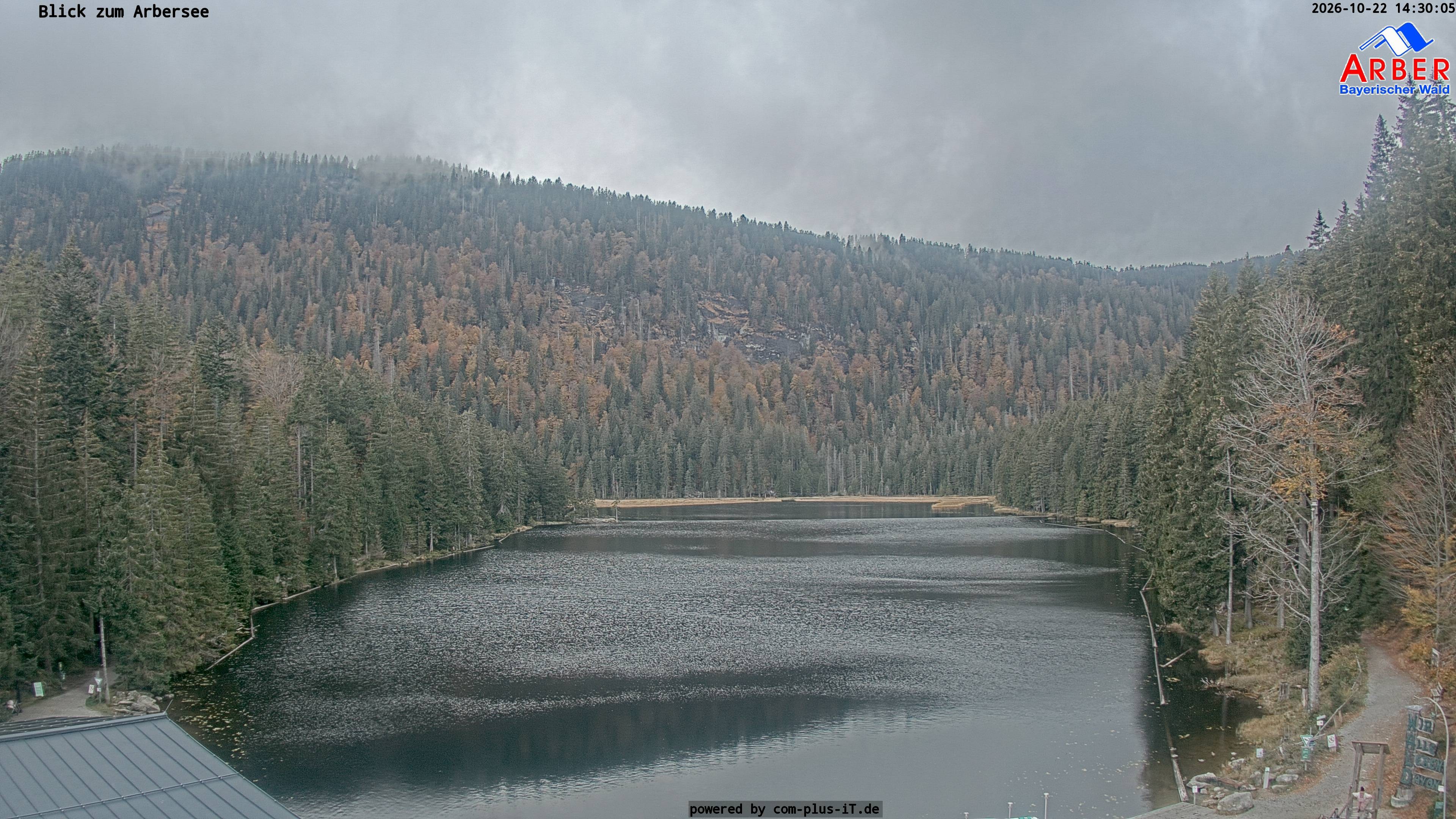 Archiv Foto Webcam Großer Arbersee - Bayerischer Wald