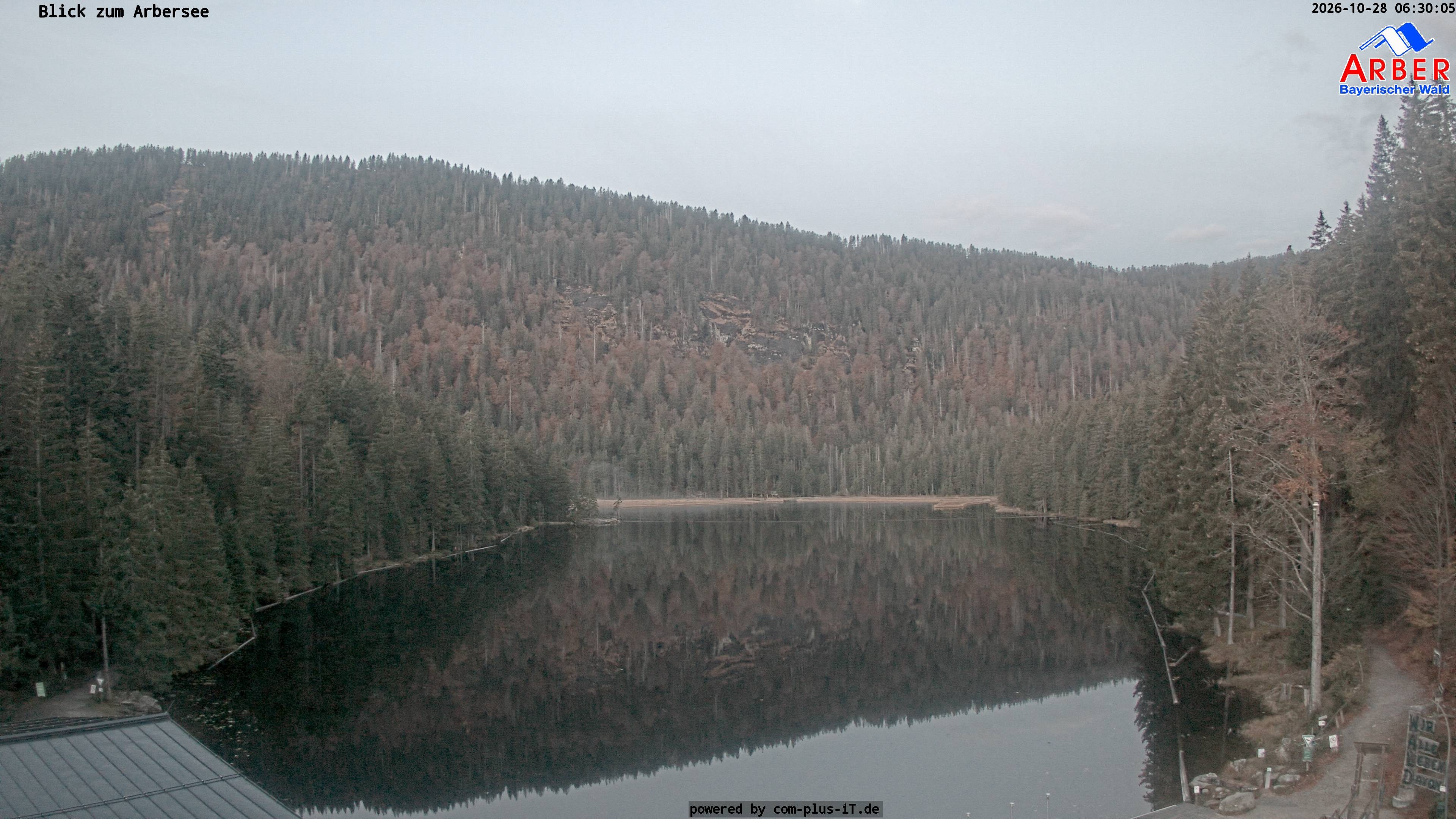 Archiv Foto Webcam Großer Arbersee - Bayerischer Wald