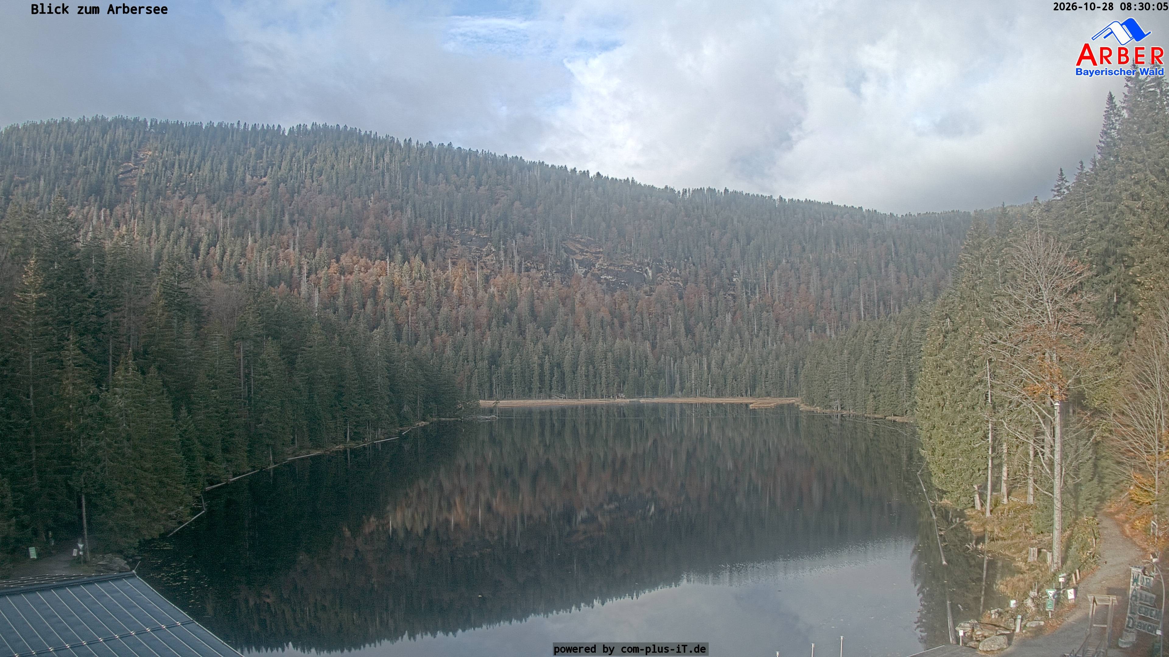 Archiv Foto Webcam Großer Arbersee - Bayerischer Wald