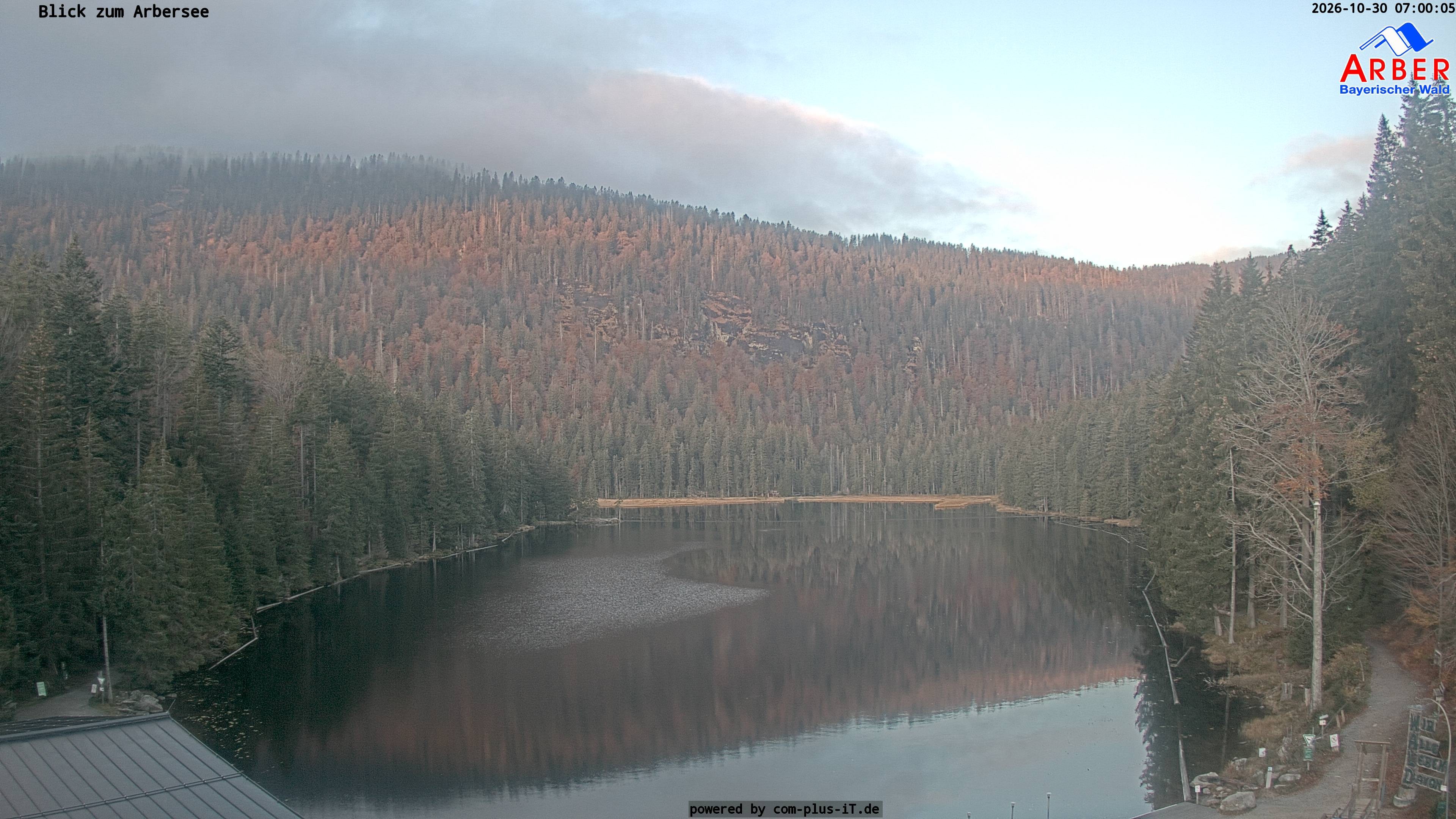 Archiv Foto Webcam Großer Arbersee - Bayerischer Wald