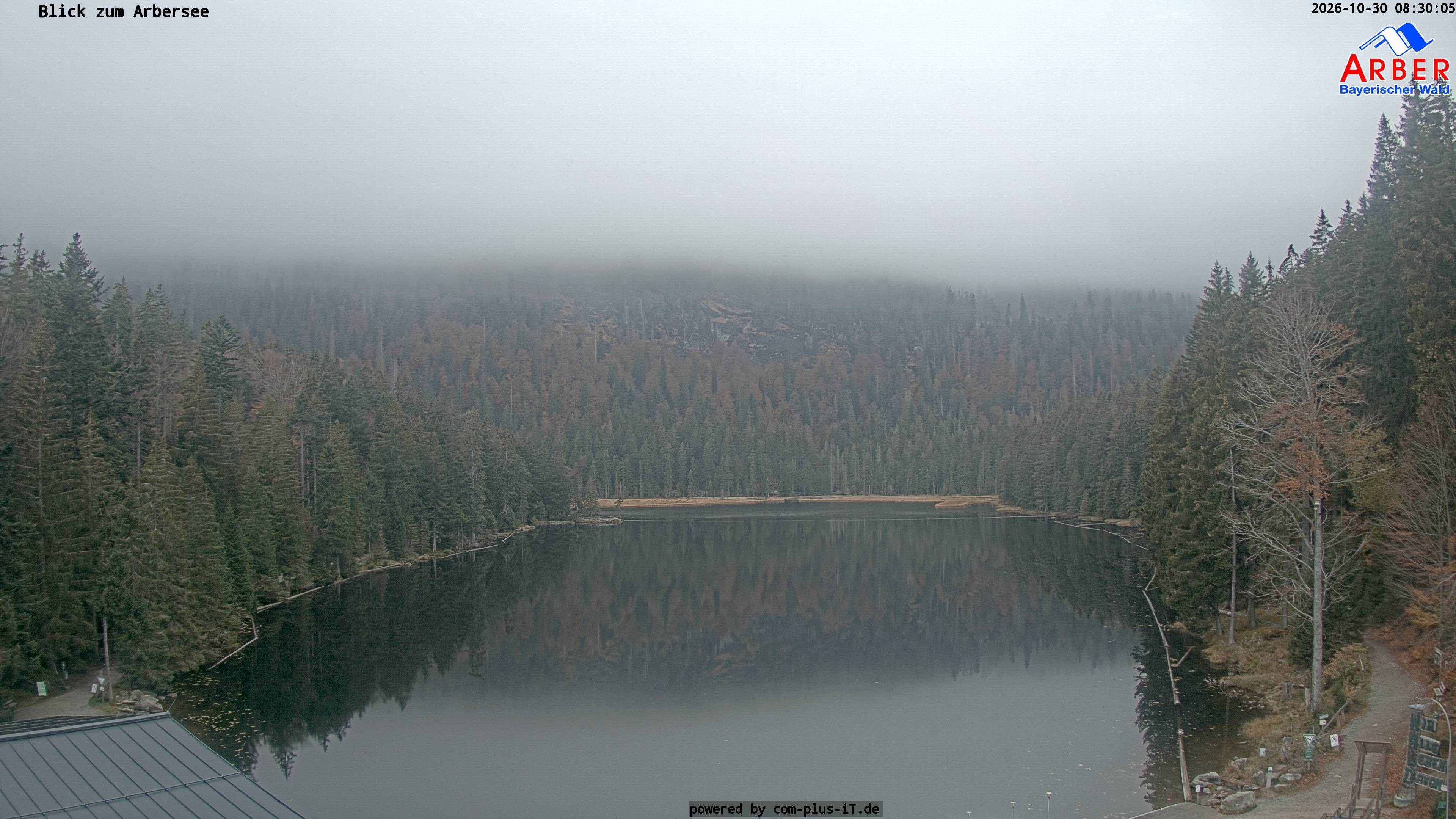 Archiv Foto Webcam Großer Arbersee - Bayerischer Wald