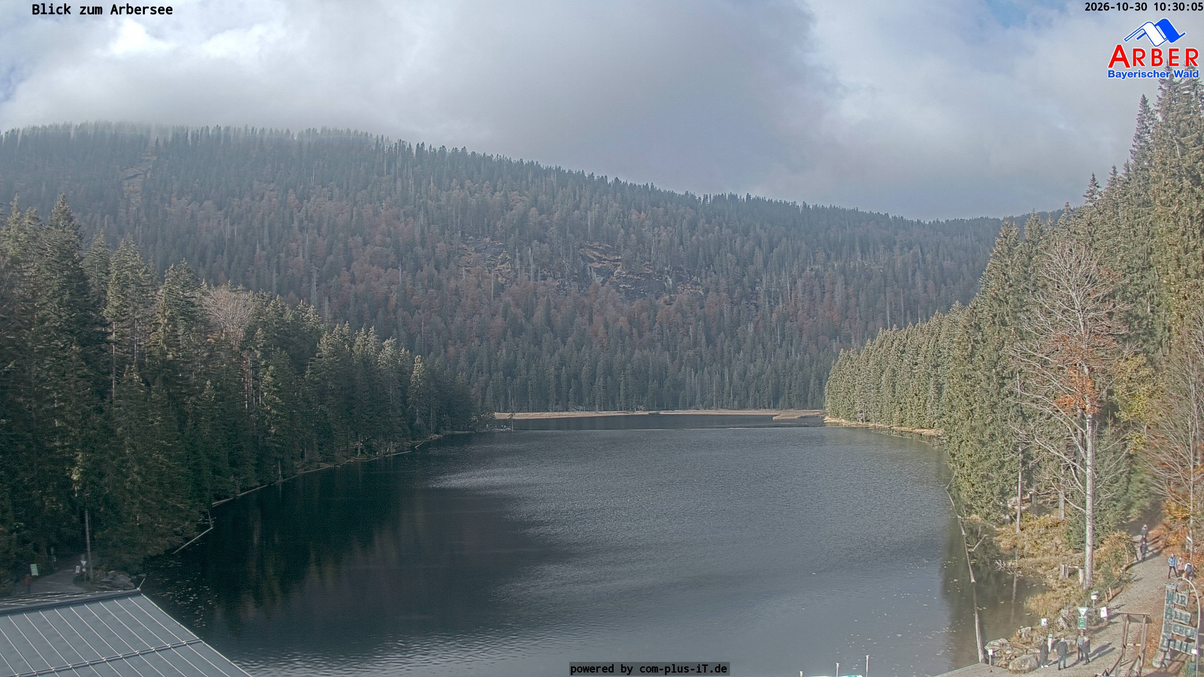 Archiv Foto Webcam Großer Arbersee - Bayerischer Wald