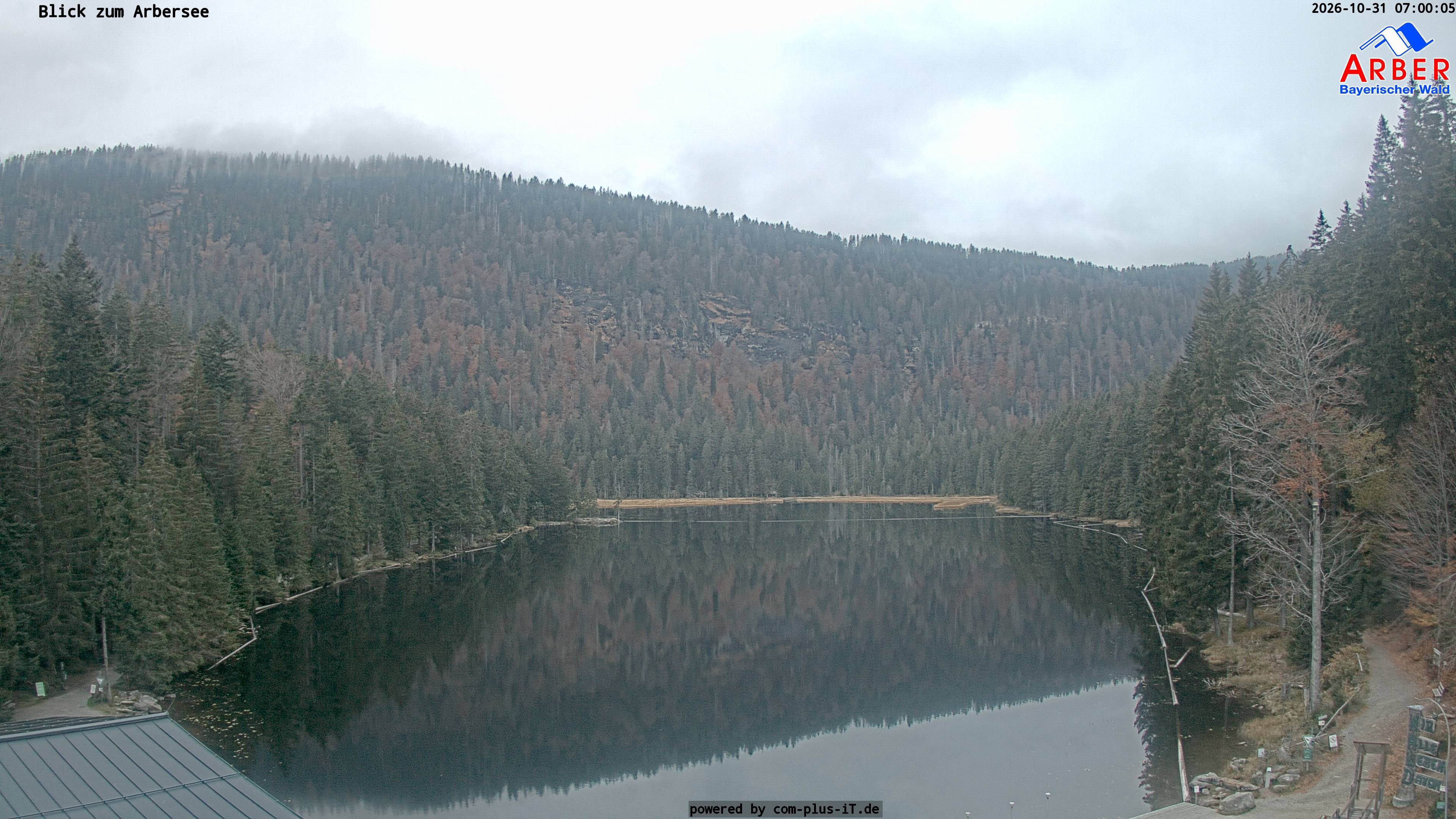 Archiv Foto Webcam Großer Arbersee - Bayerischer Wald
