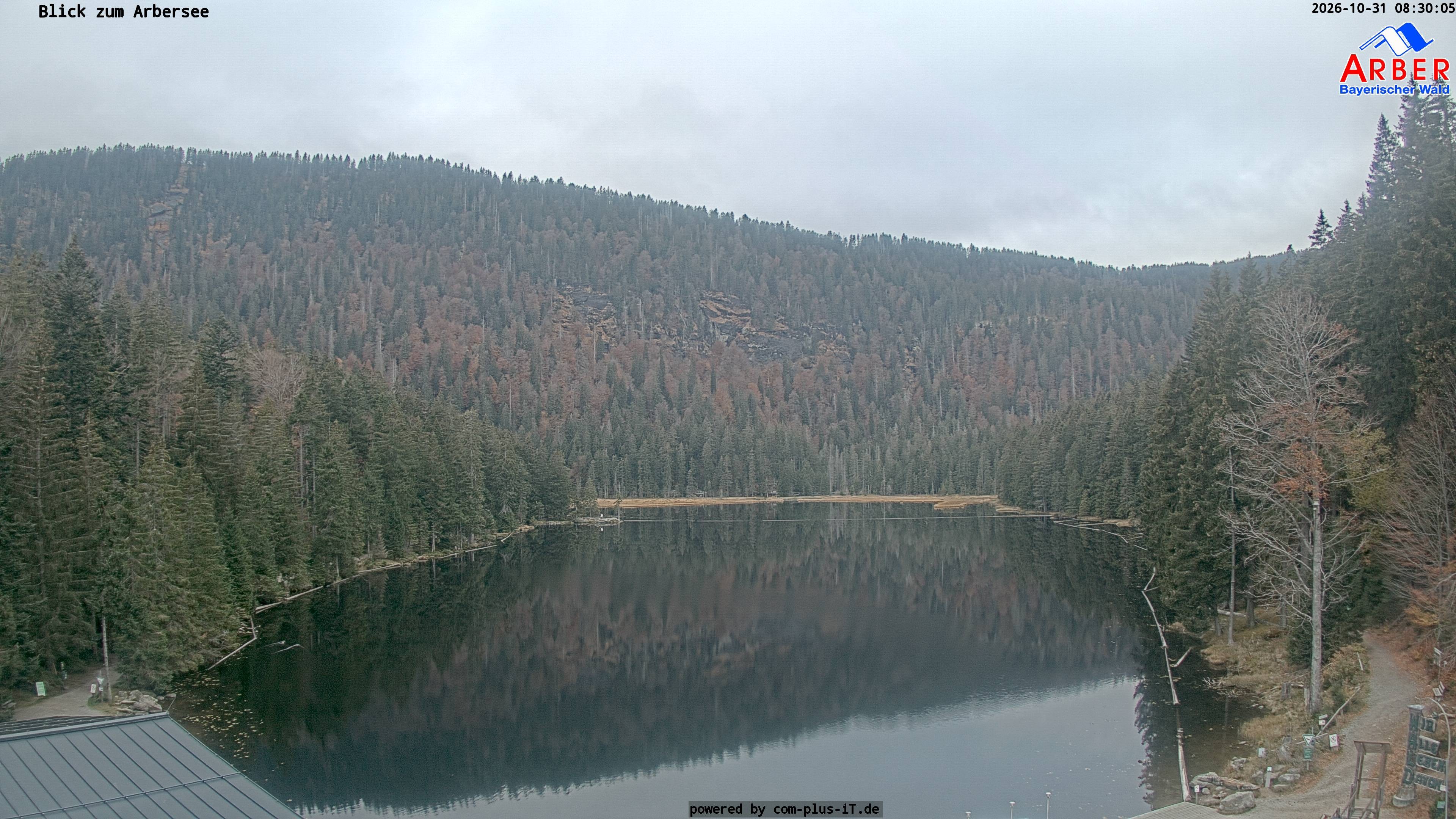 Archiv Foto Webcam Großer Arbersee - Bayerischer Wald