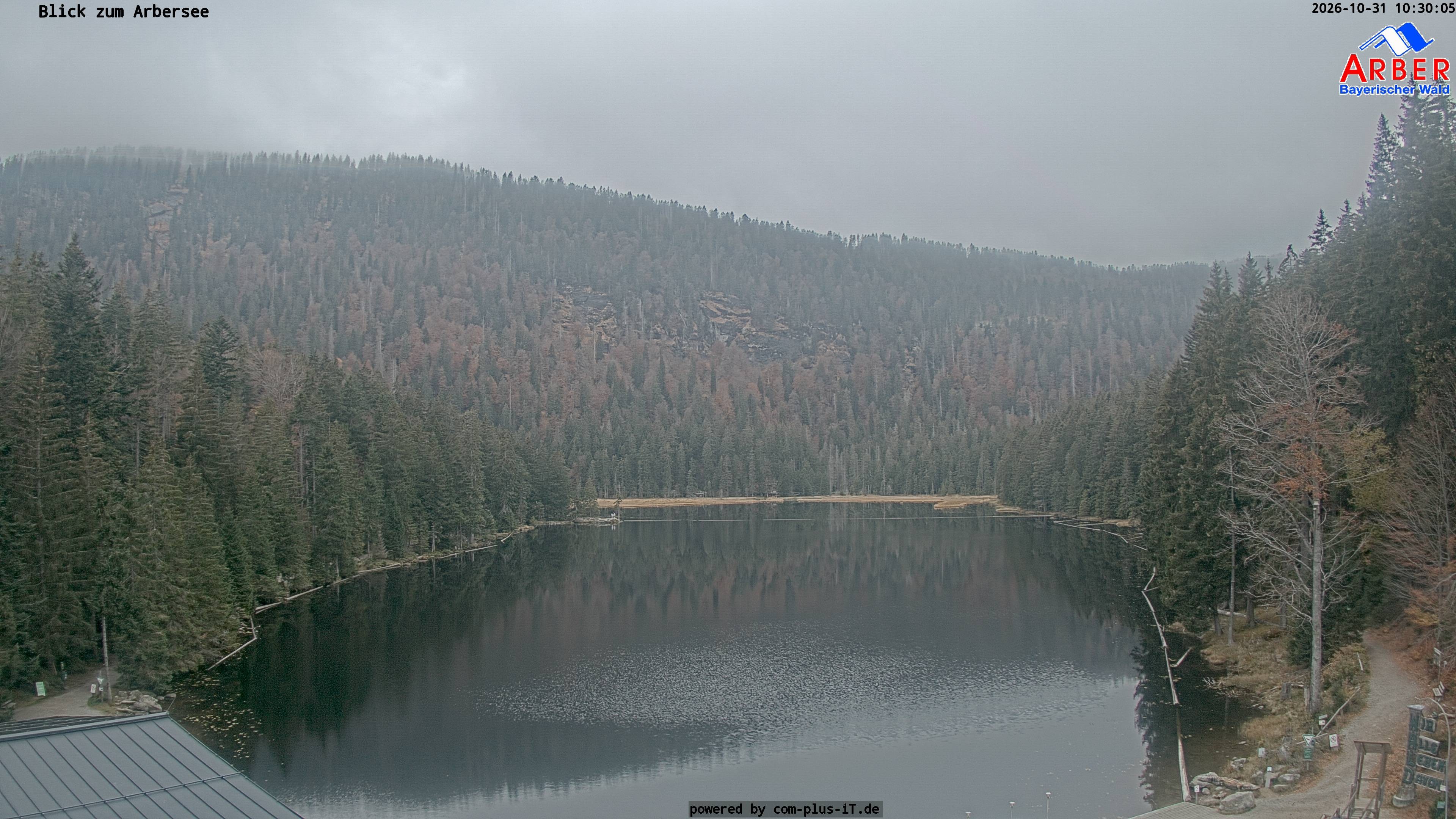 Archiv Foto Webcam Großer Arbersee - Bayerischer Wald