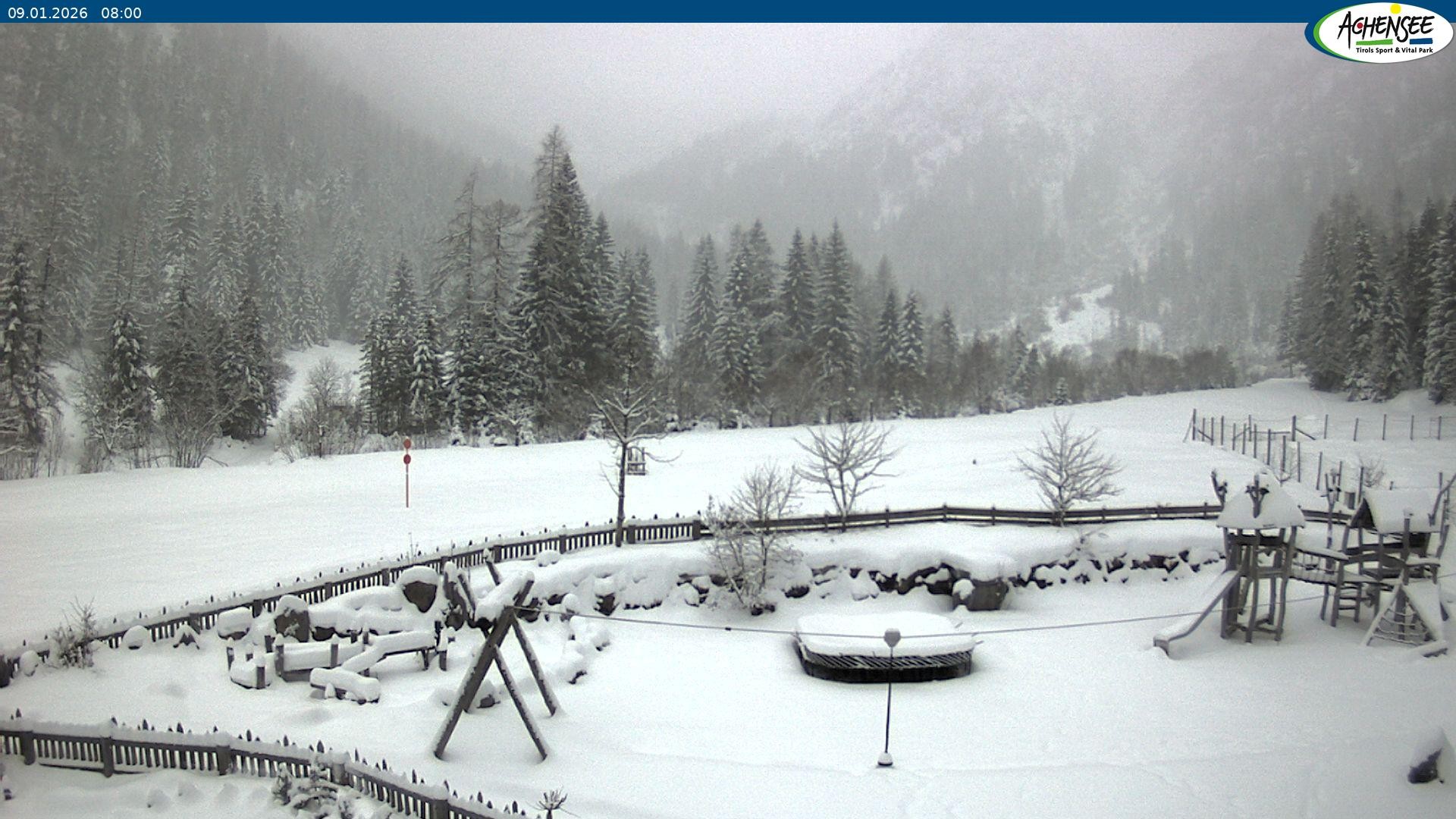Archiv Foto Webcam Gernalm nahe Pertisau