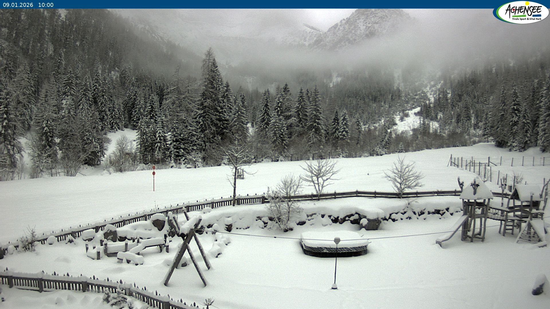 Archiv Foto Webcam Gernalm nahe Pertisau