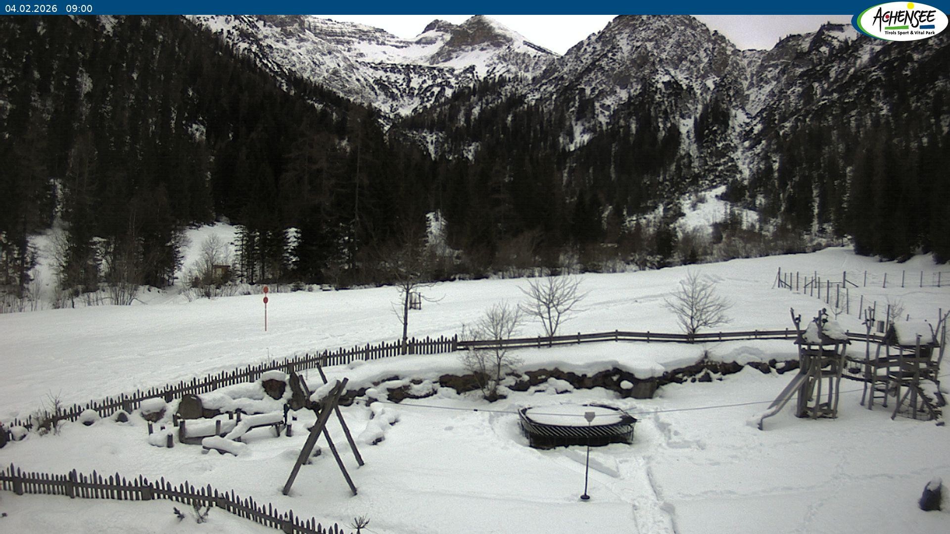 Archiv Foto Webcam Gernalm nahe Pertisau