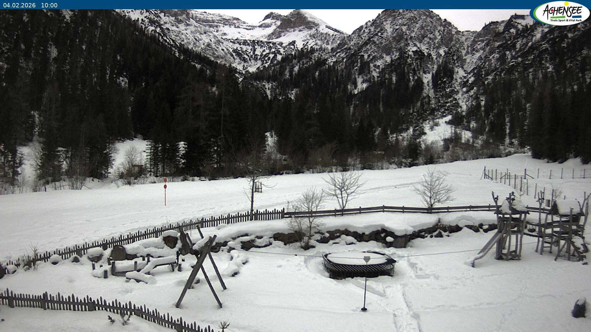 Archiv Foto Webcam Gernalm nahe Pertisau