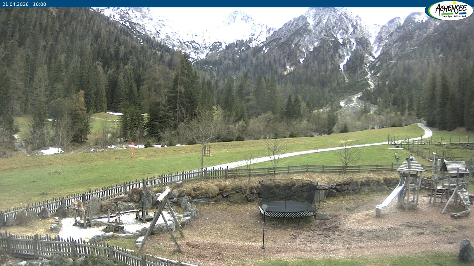 Archiv Foto Webcam Gernalm nahe Pertisau