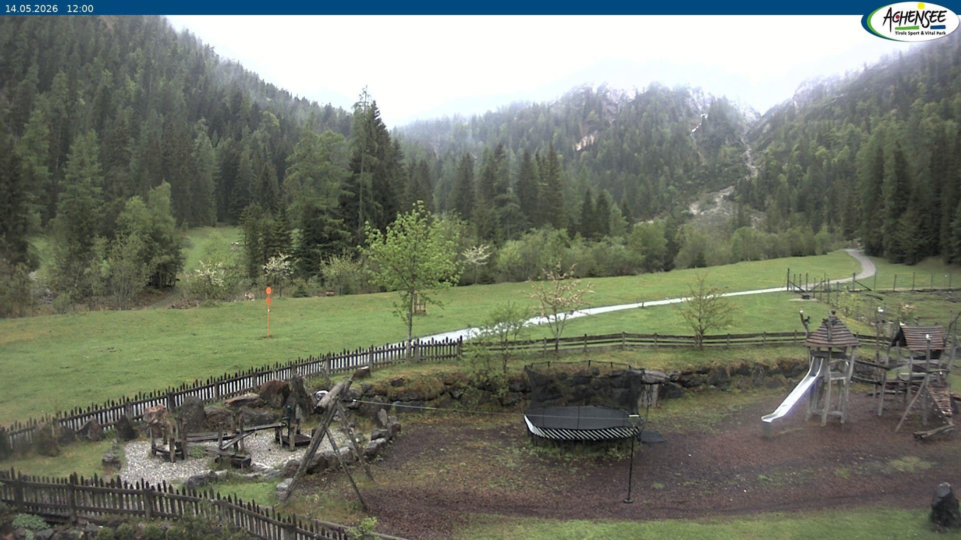 Archiv Foto Webcam Gernalm nahe Pertisau