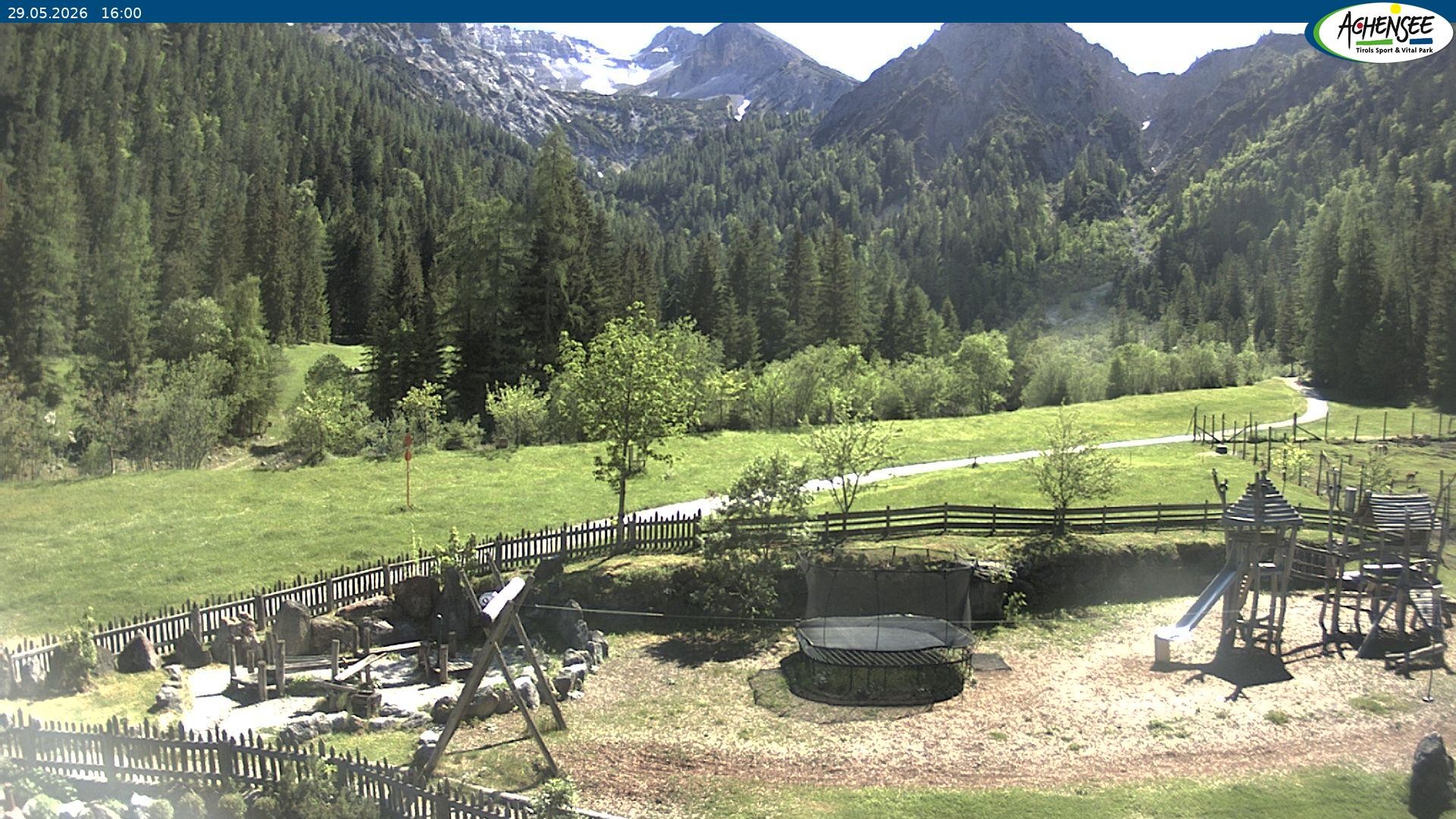 Archiv Foto Webcam Gernalm nahe Pertisau
