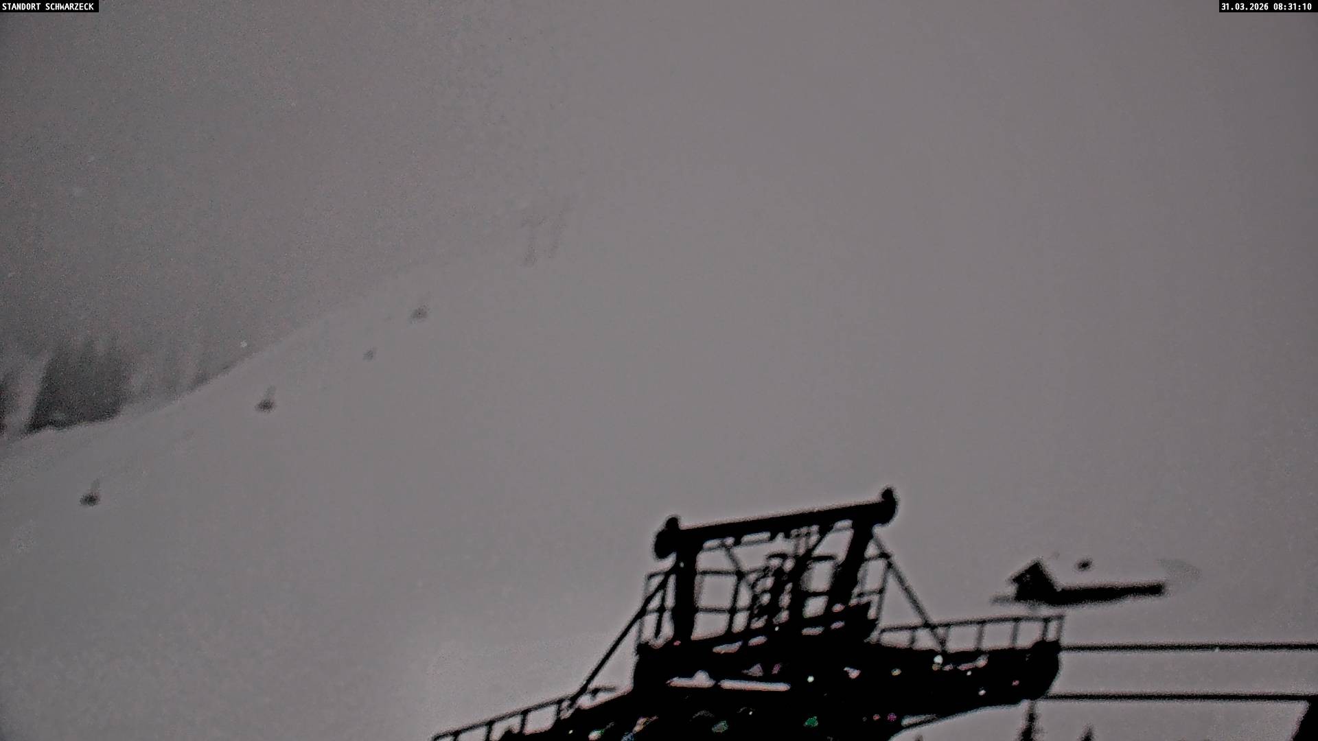 Archiv Foto Webcam Blick auf die Almenwelt Lofer