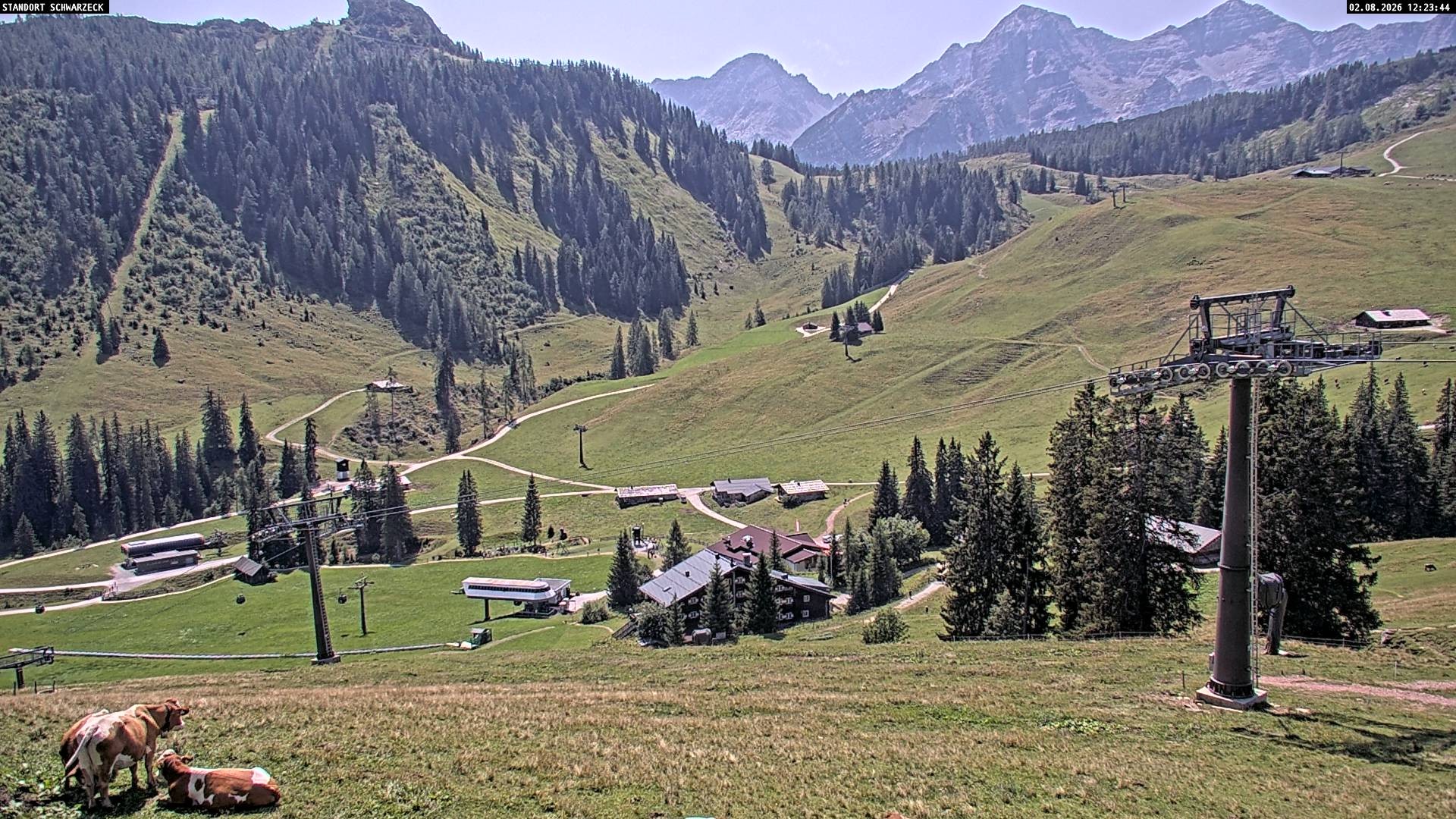 Archiv Foto Webcam Blick auf die Almenwelt Lofer