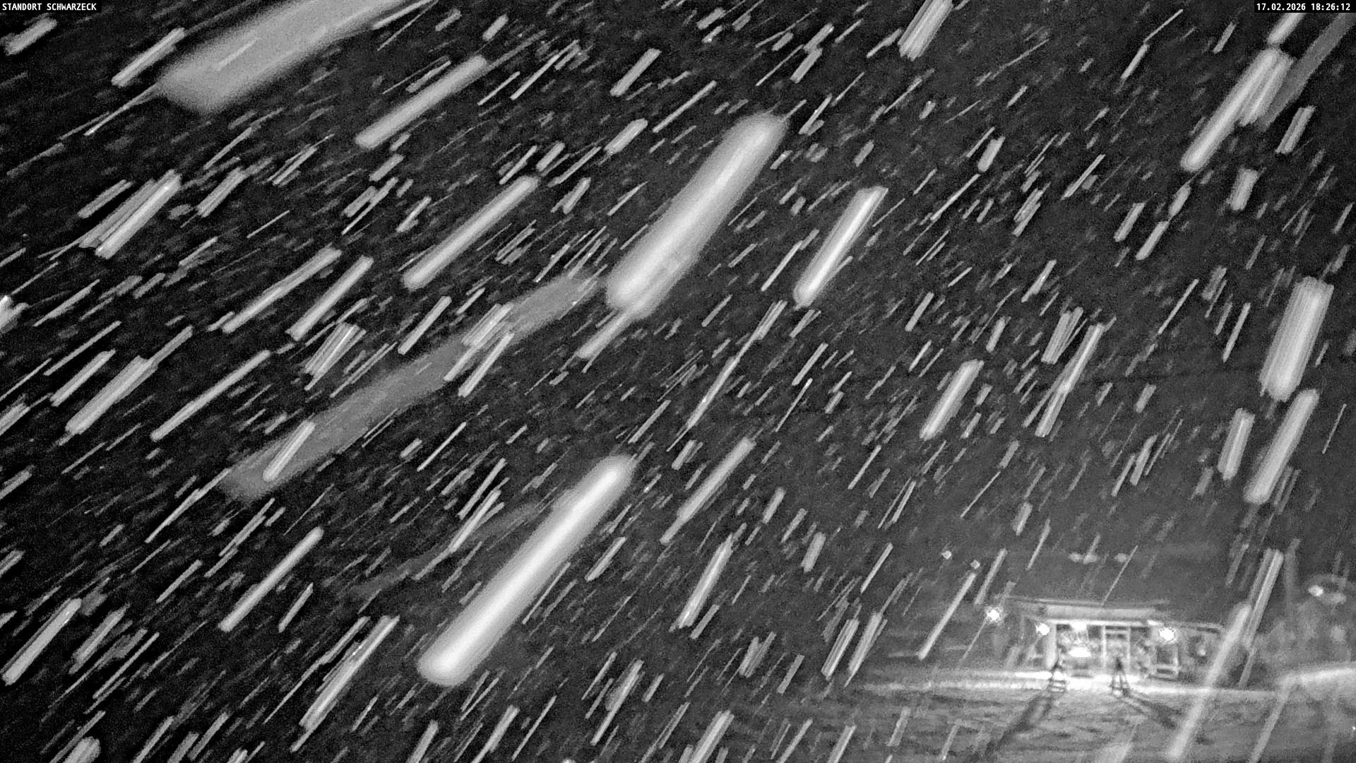 Archiv Foto Webcam Almenwelt Lofer: Rundwanderweg und Höhenloipe