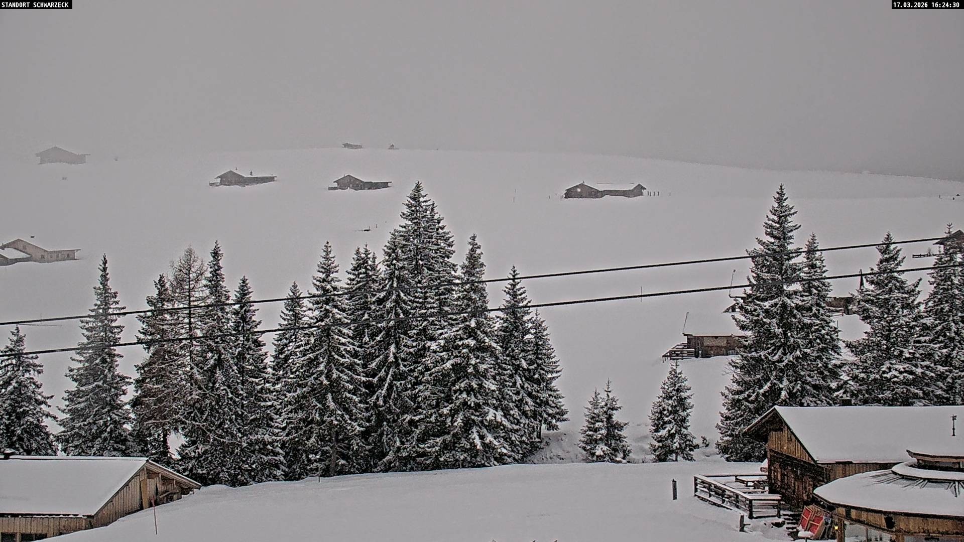Archiv Foto Webcam Almenwelt Lofer: Rundwanderweg und Höhenloipe