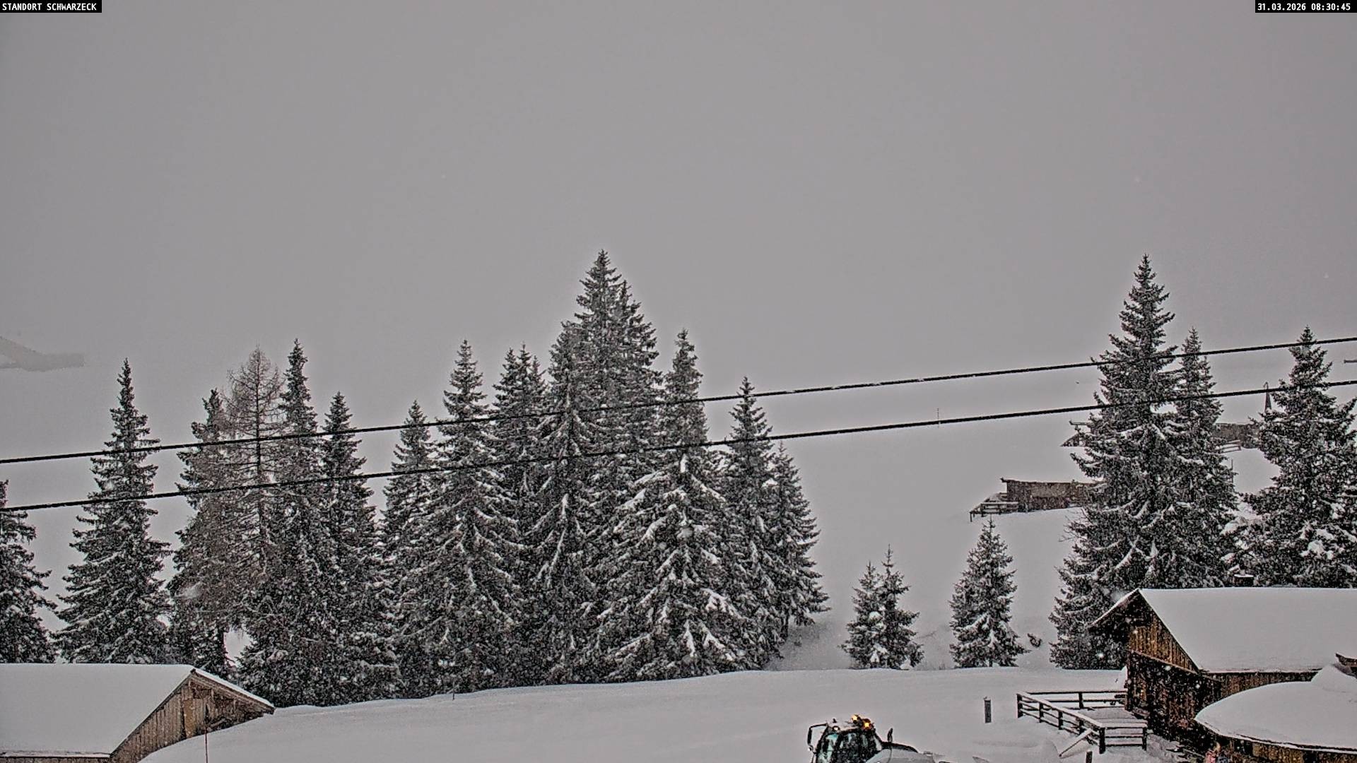 Archiv Foto Webcam Almenwelt Lofer: Rundwanderweg und Höhenloipe