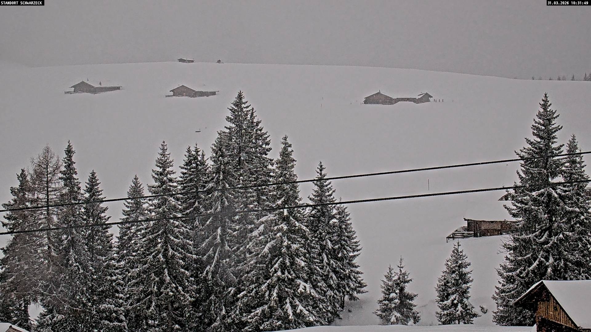 Archiv Foto Webcam Almenwelt Lofer: Rundwanderweg und Höhenloipe