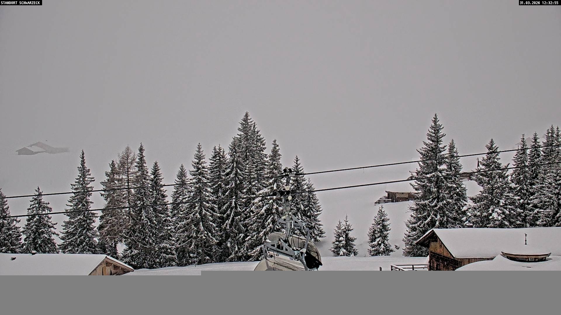 Archiv Foto Webcam Almenwelt Lofer: Rundwanderweg und Höhenloipe