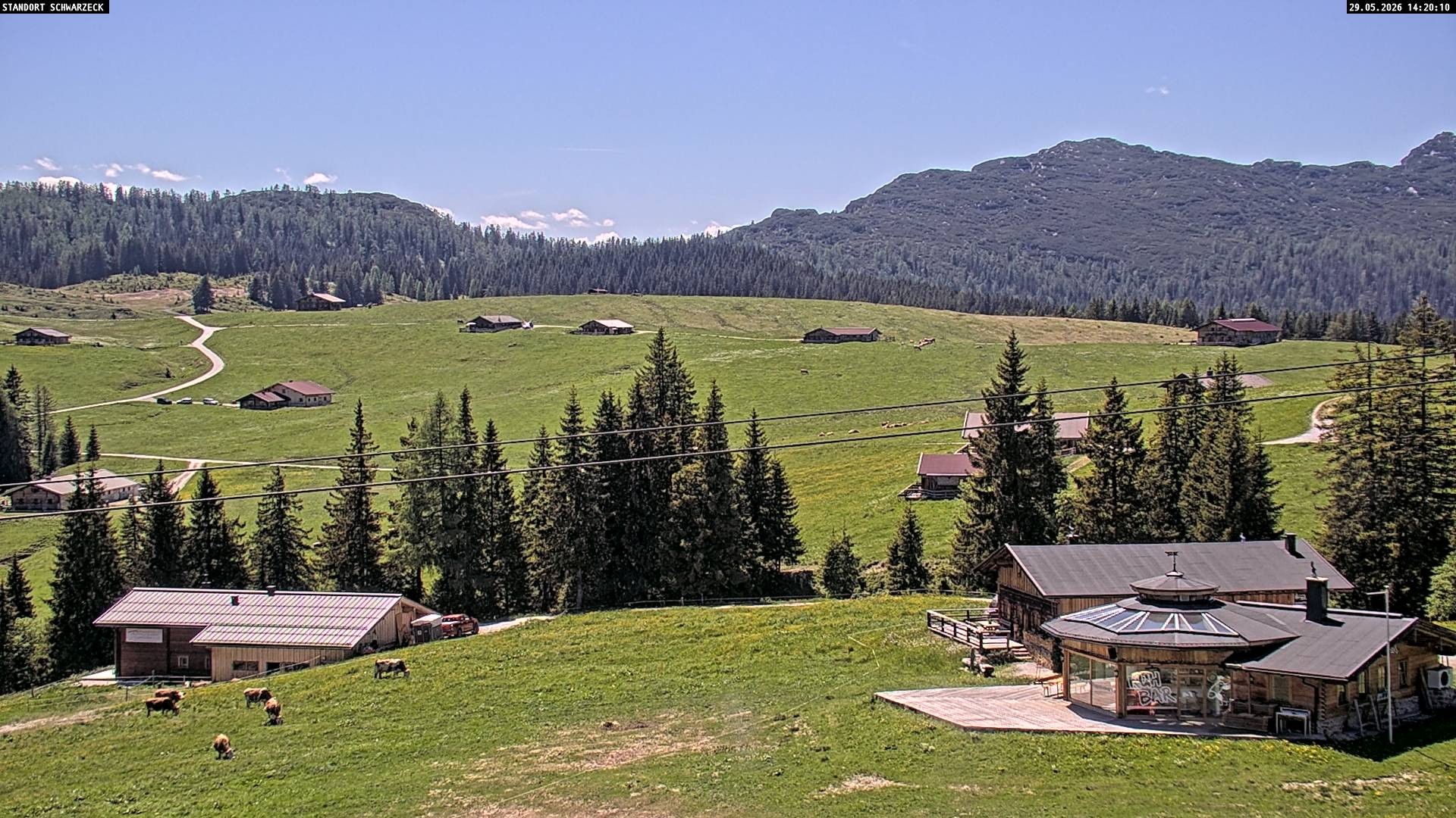 Archiv Foto Webcam Almenwelt Lofer: Rundwanderweg und Höhenloipe