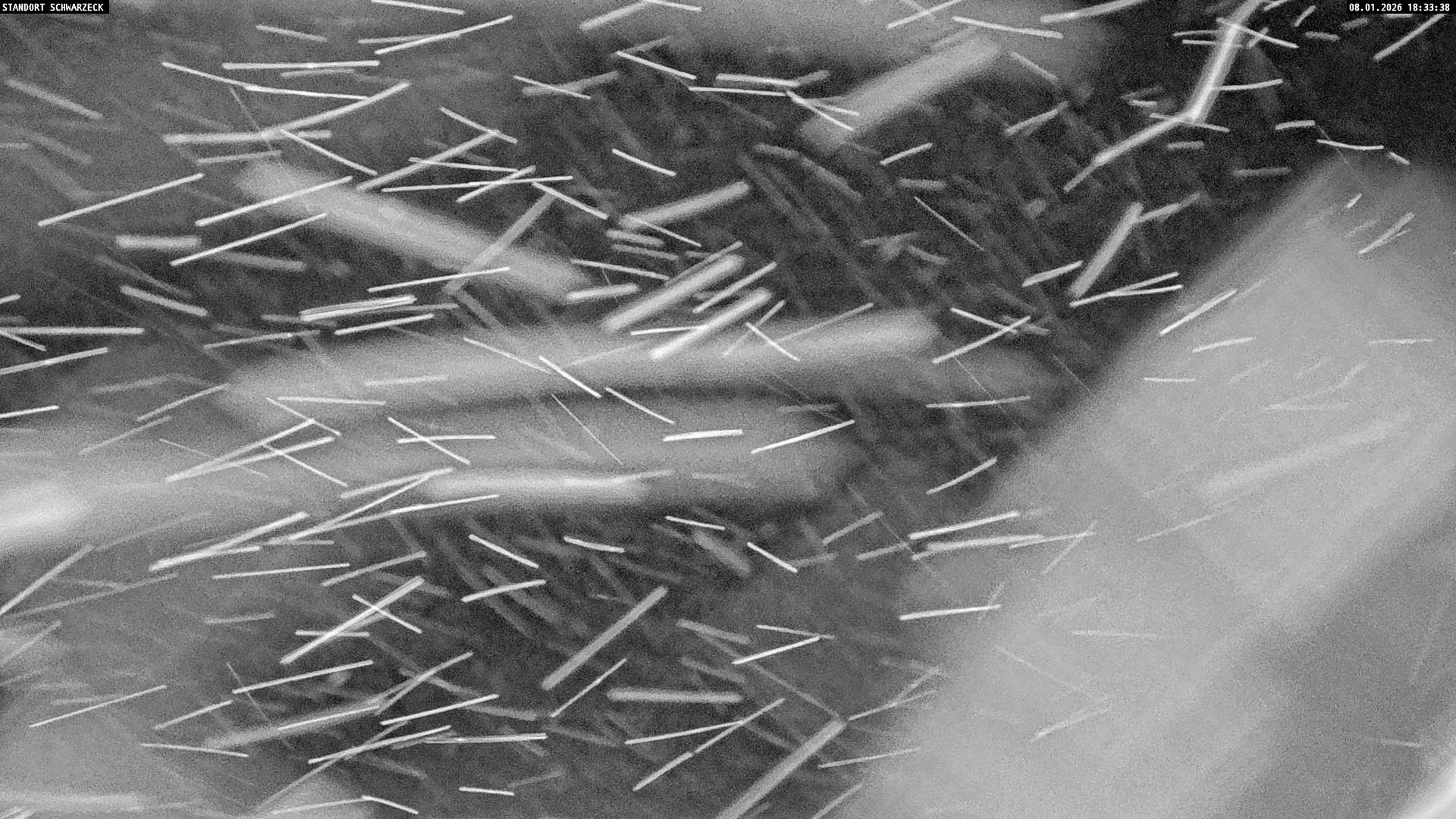 Archiv Foto Webcam Loferer Alm: Schönbühelblick