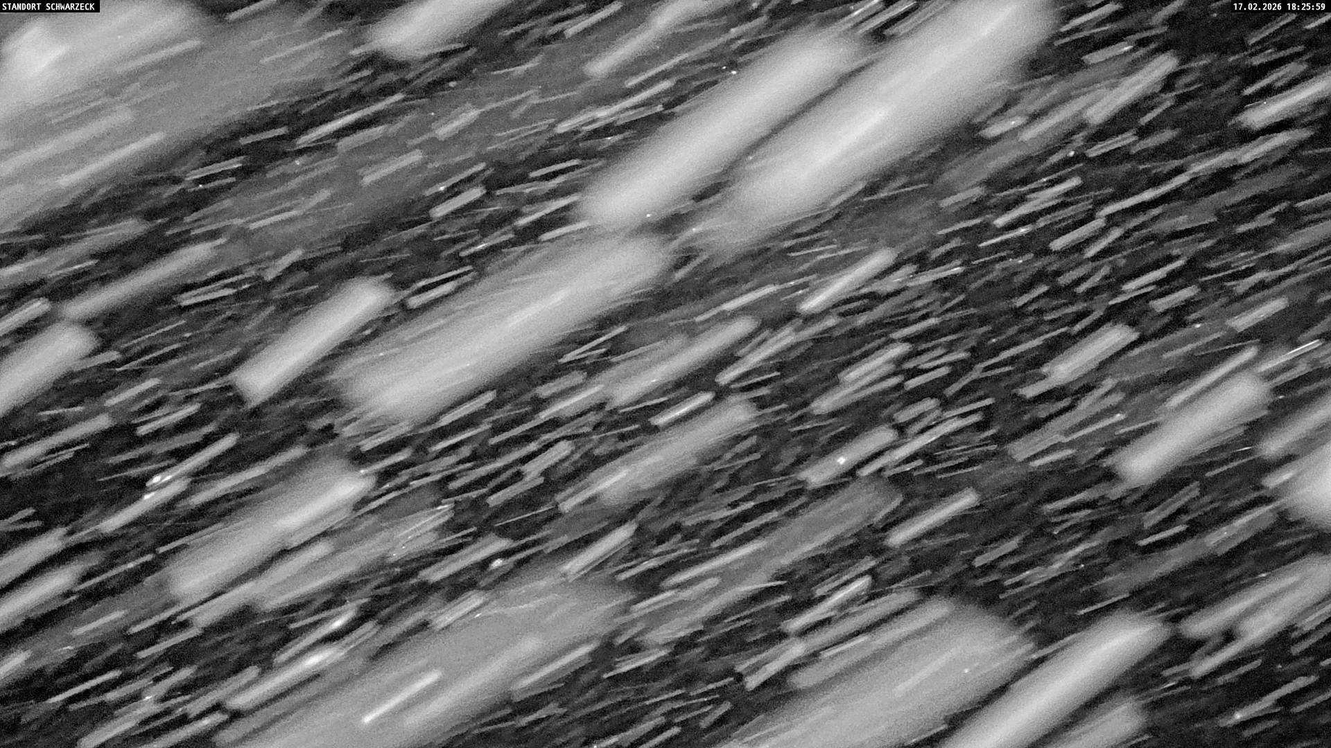 Archiv Foto Webcam Loferer Alm: Schönbühelblick