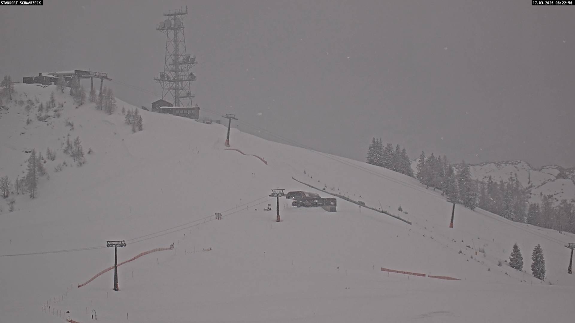 Archived image Webcam Loferer Alm: Schönbühel-view