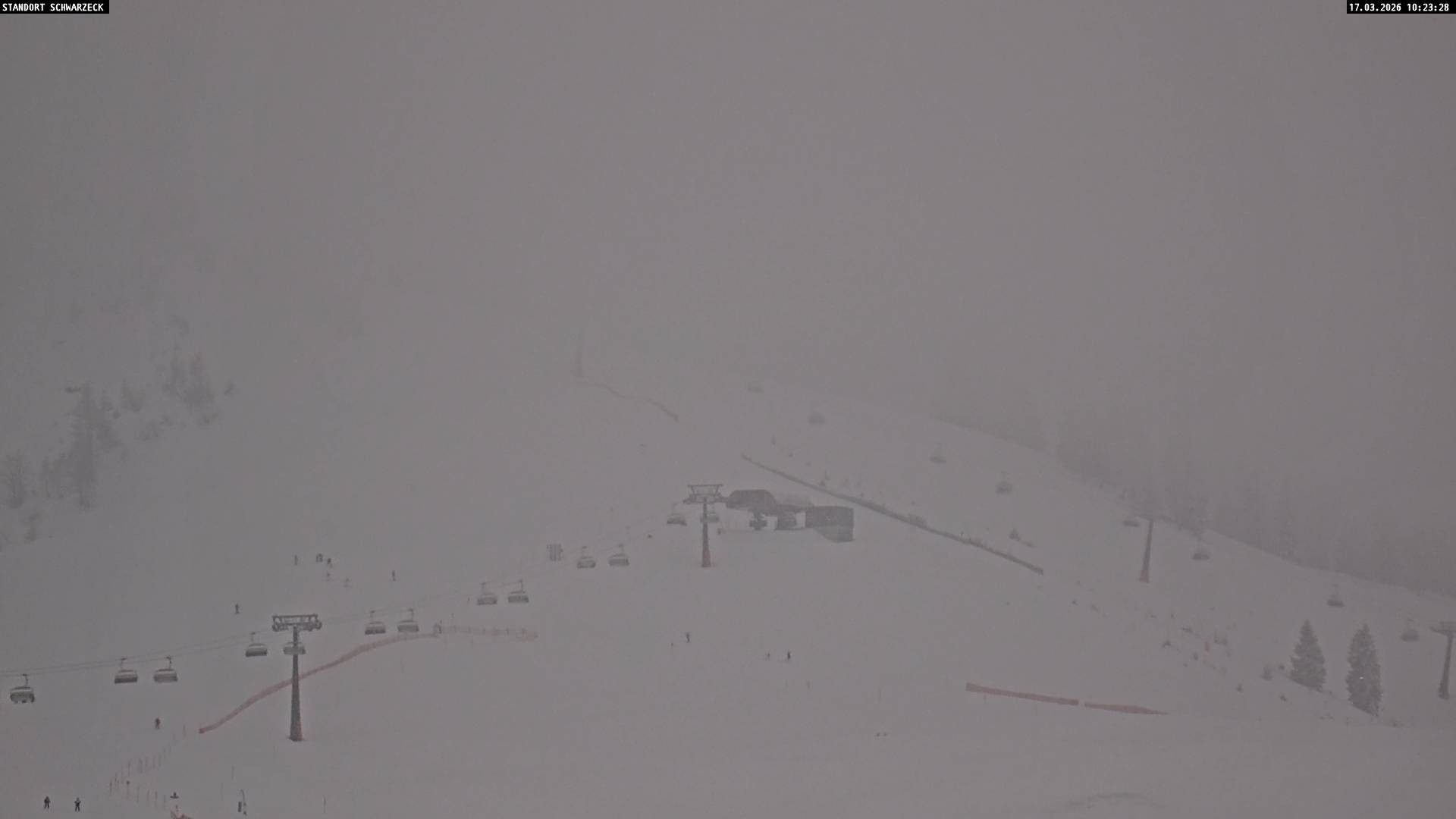 Archived image Webcam Loferer Alm: Schönbühel-view