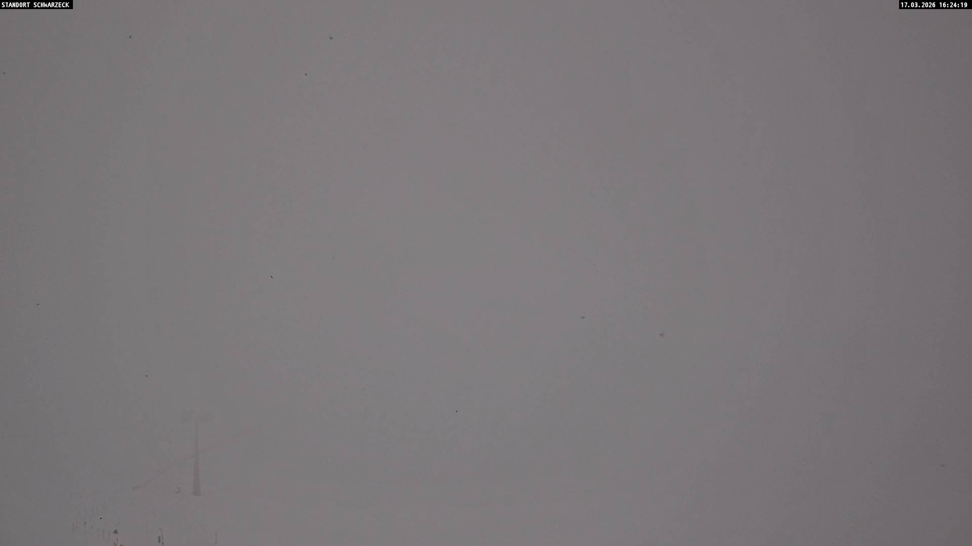 Archiv Foto Webcam Loferer Alm: Schönbühelblick