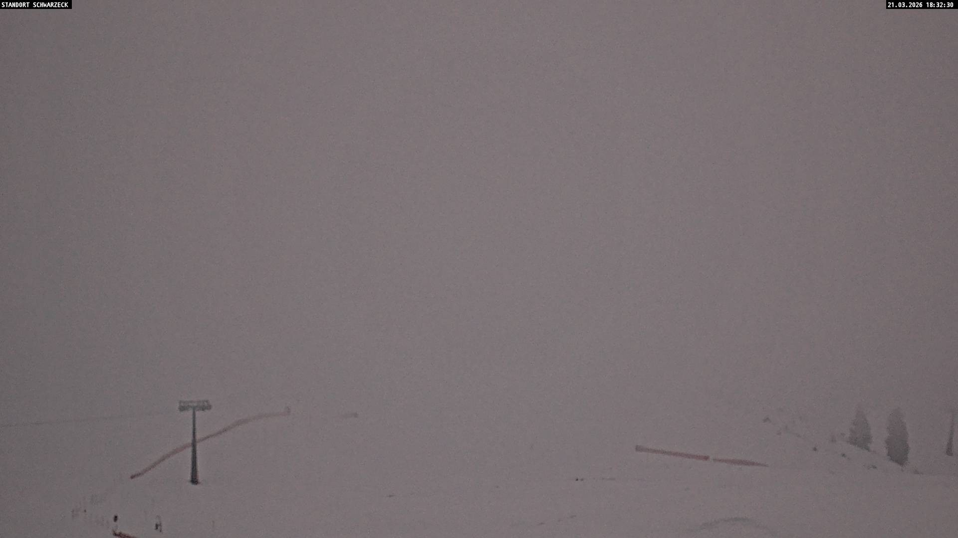 Archived image Webcam Loferer Alm: Schönbühel-view