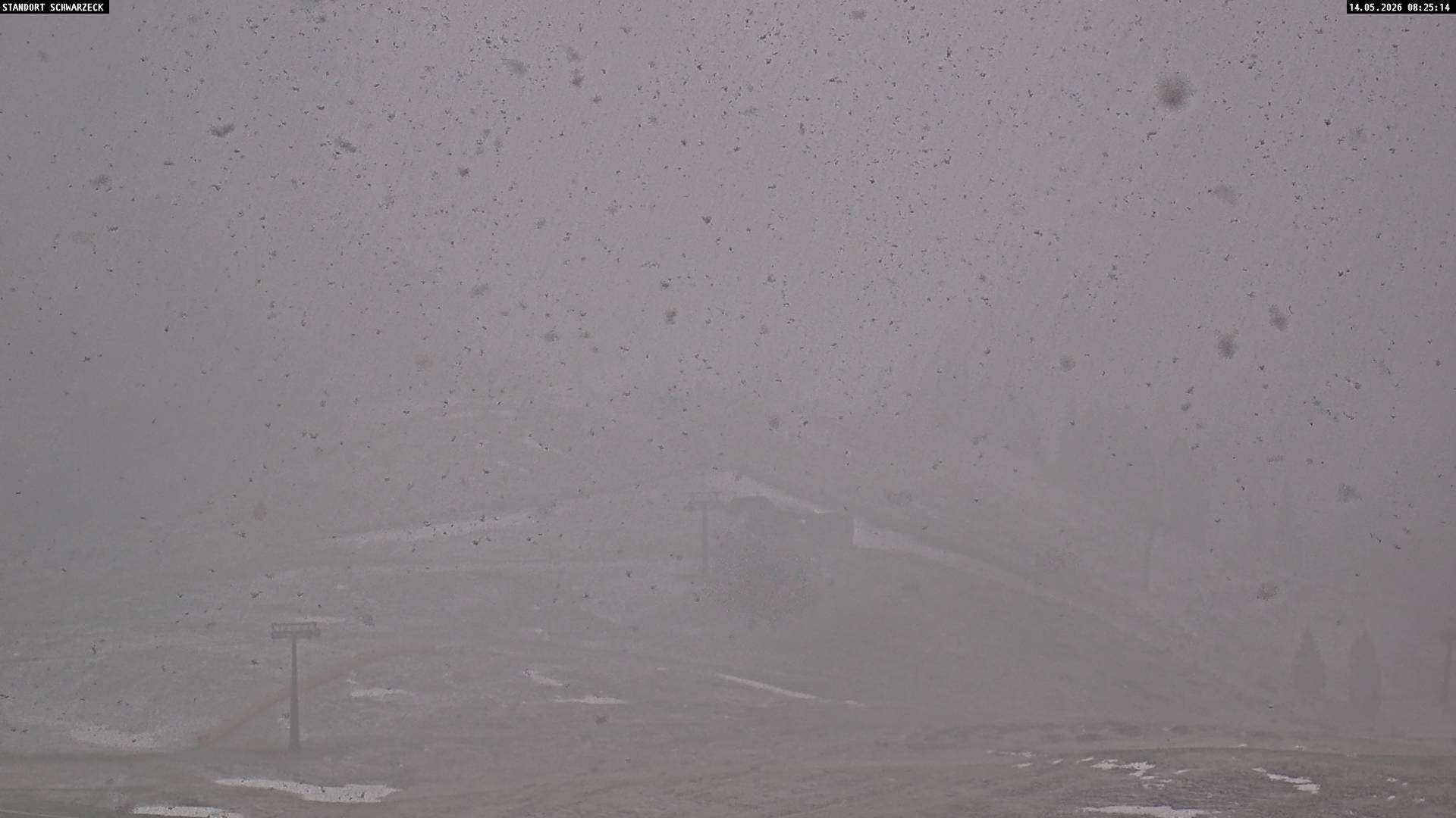 Archiv Foto Webcam Loferer Alm: Schönbühelblick