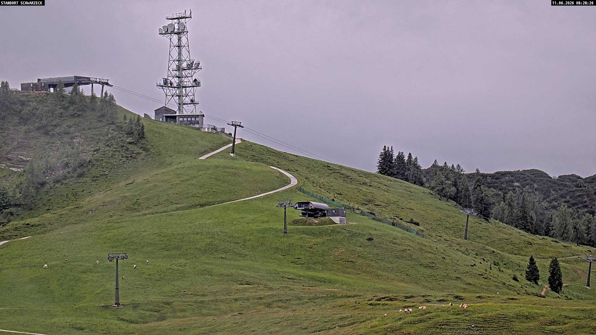 Archiv Foto Webcam Loferer Alm: Schönbühelblick