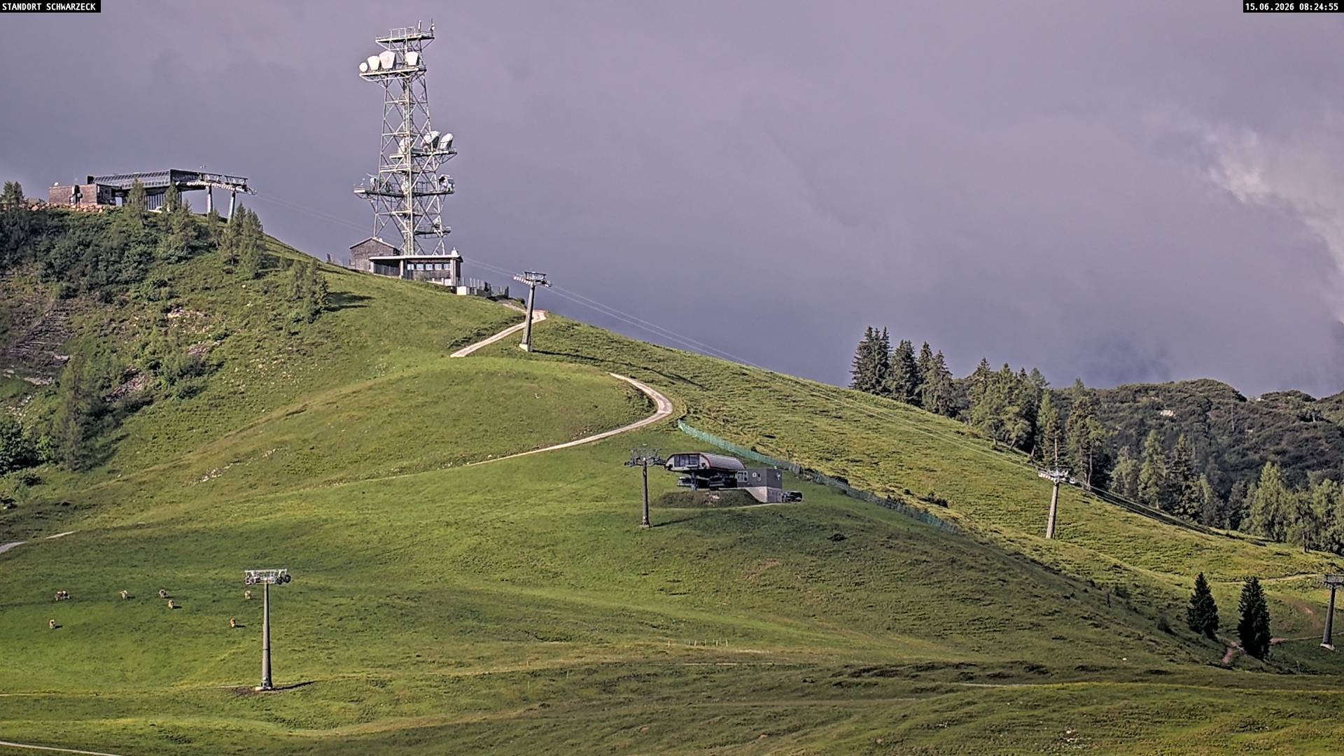 Archived image Webcam Loferer Alm: Schönbühel-view