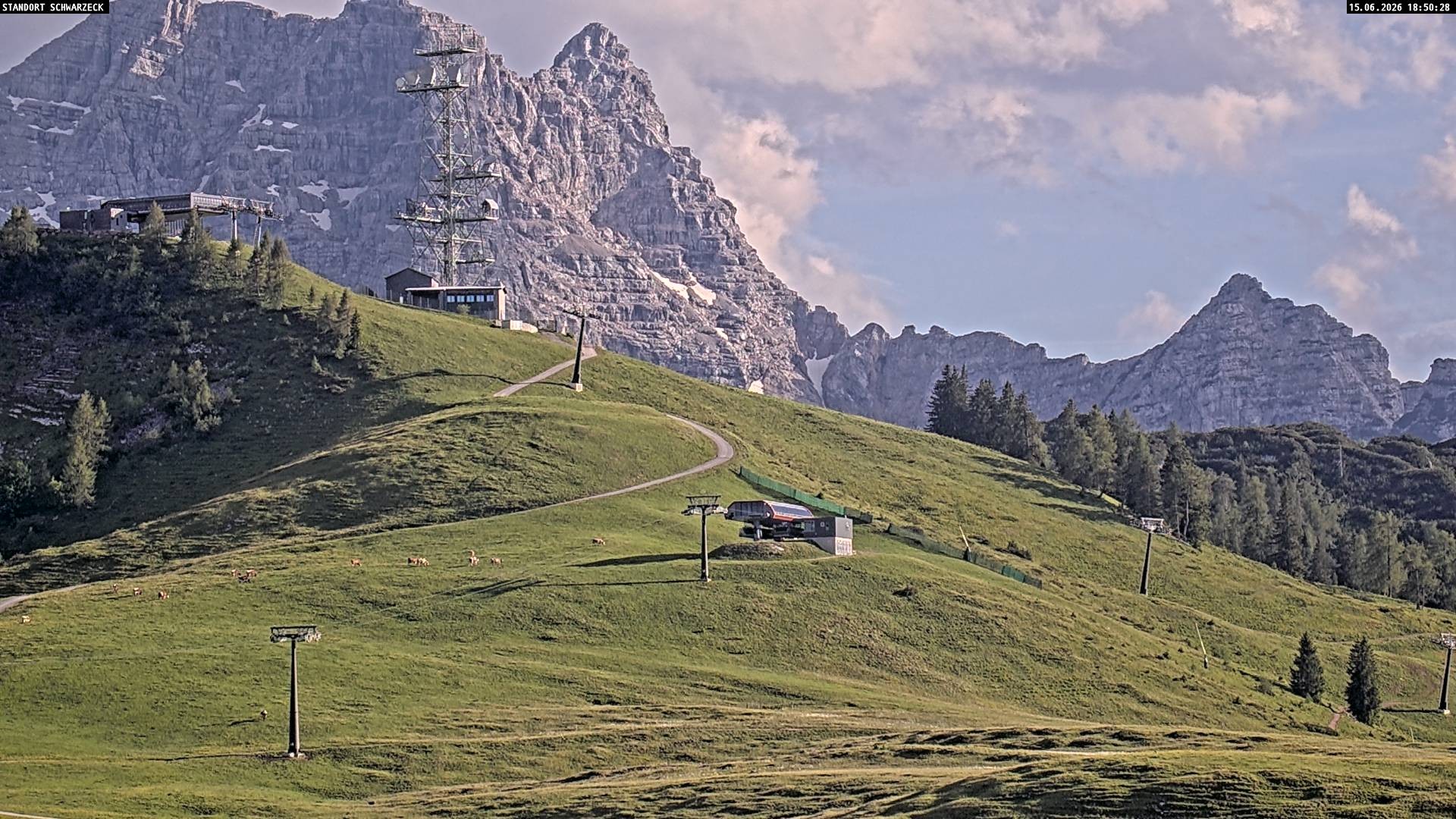 Archived image Webcam Loferer Alm: Schönbühel-view