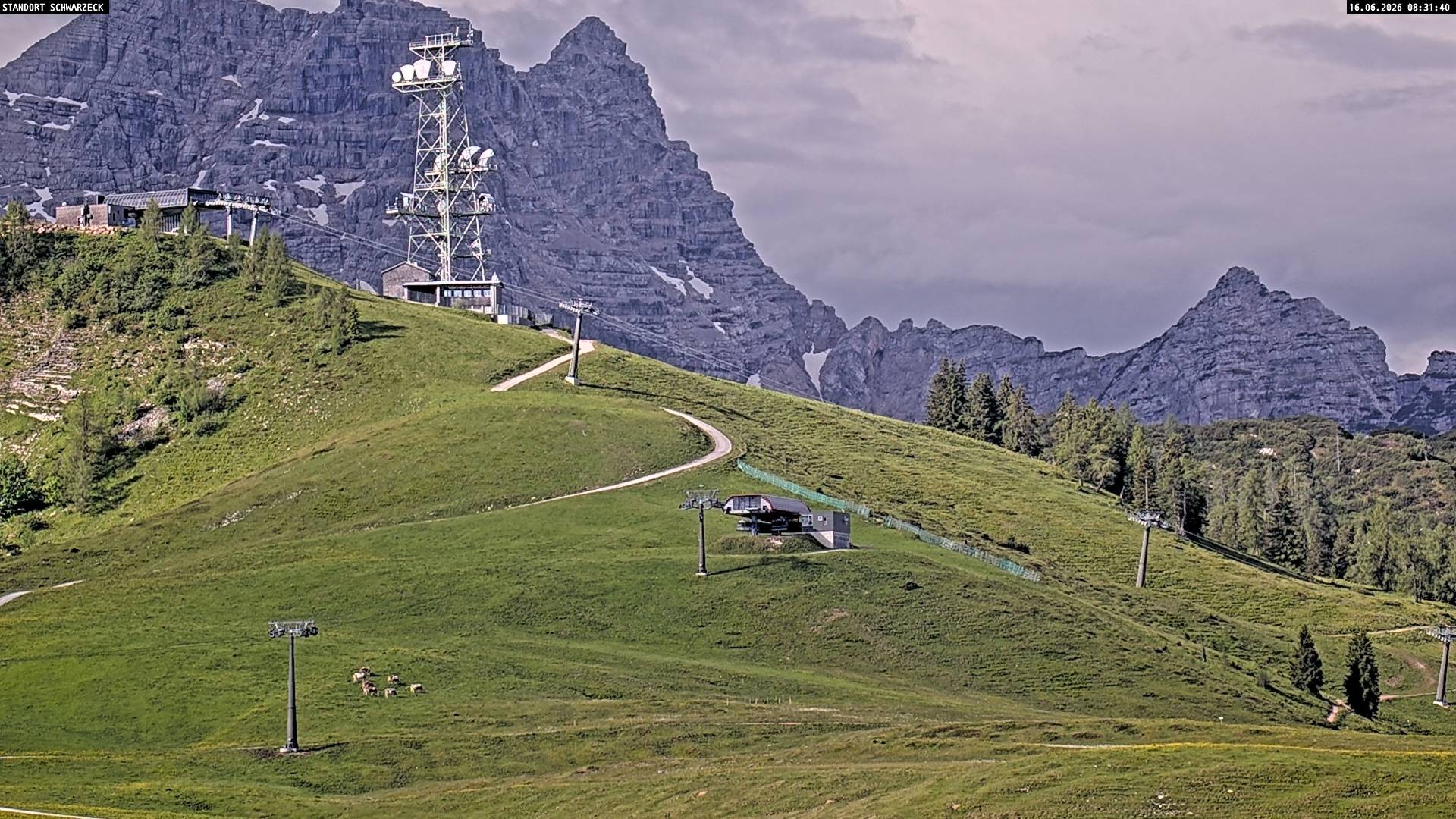 Archiv Foto Webcam Loferer Alm: Schönbühelblick