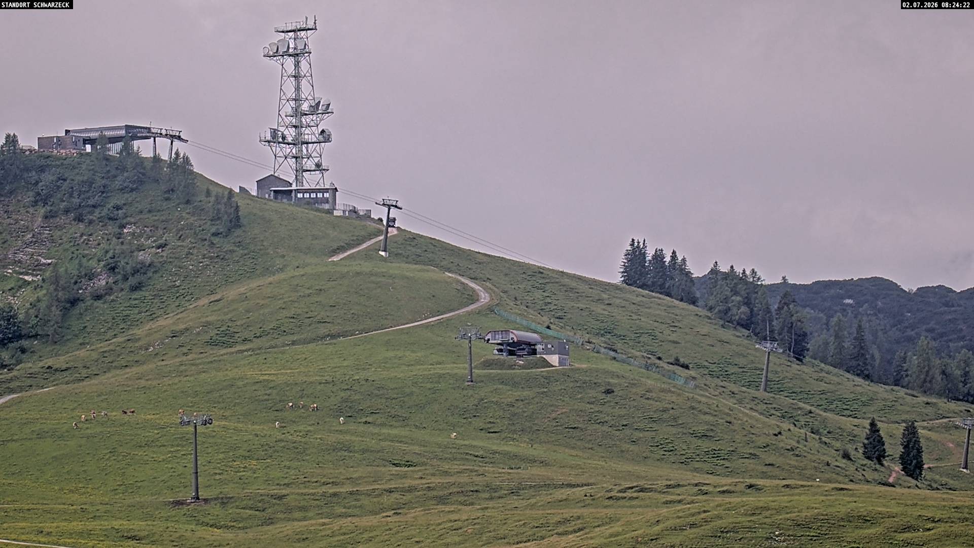 Archived image Webcam Loferer Alm: Schönbühel-view