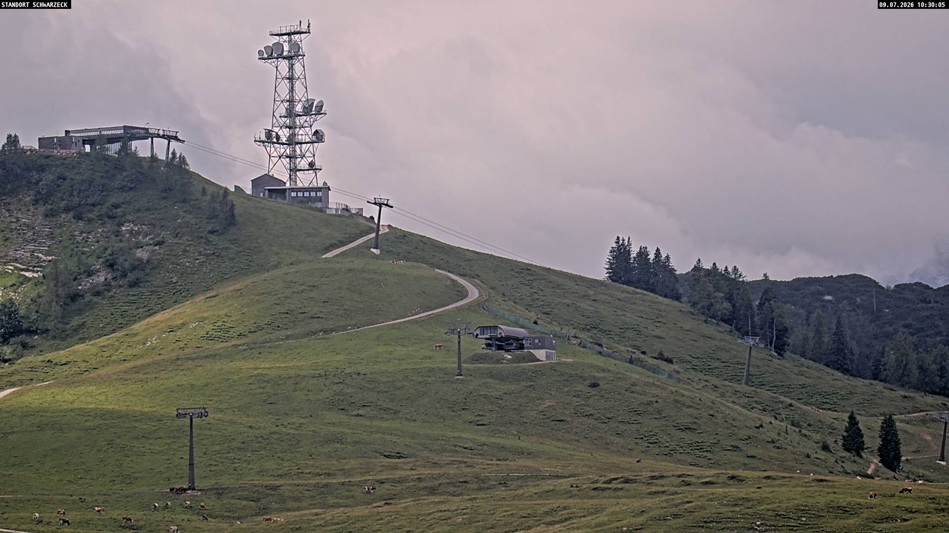 Archiv Foto Webcam Loferer Alm: Schönbühelblick