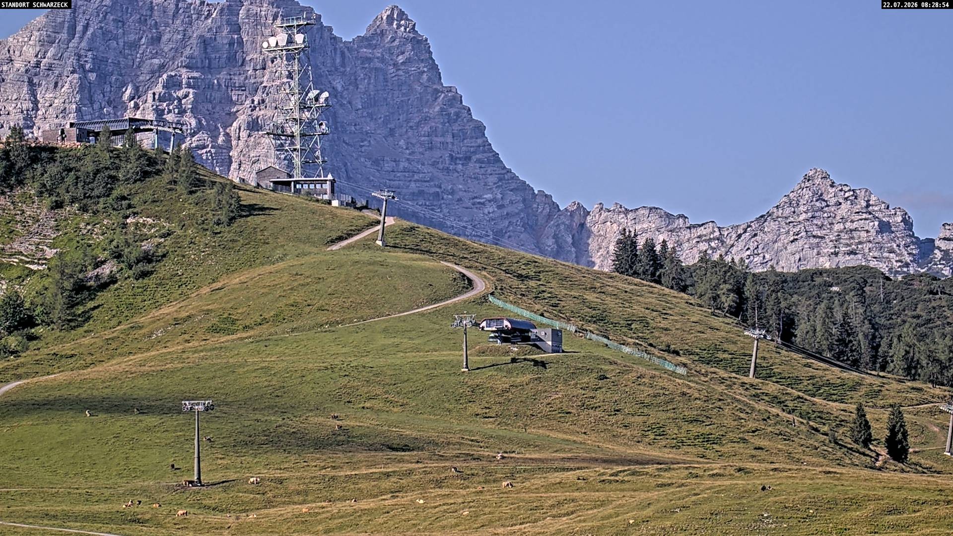 Archiv Foto Webcam Loferer Alm: Schönbühelblick