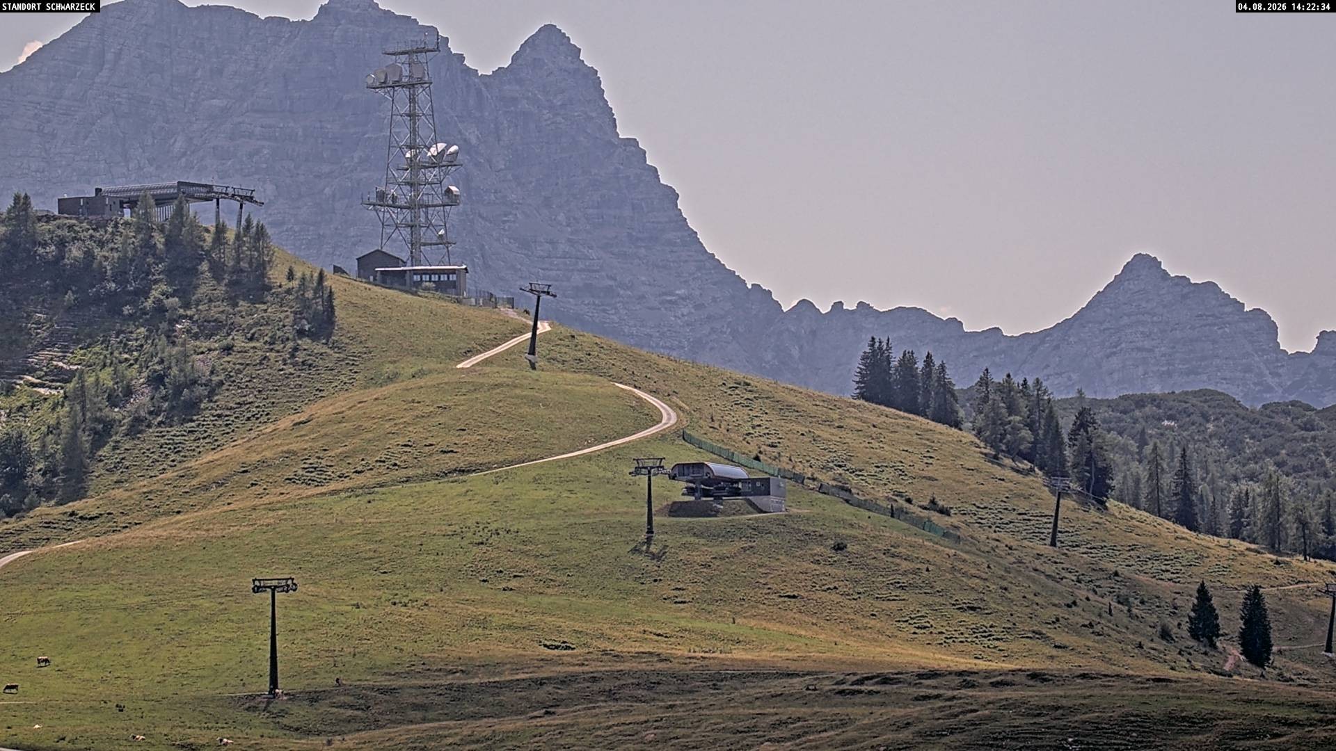 Archiv Foto Webcam Loferer Alm: Schönbühelblick