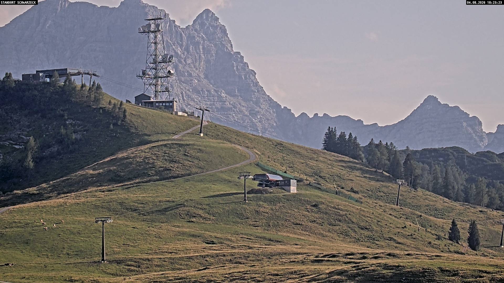 Archiv Foto Webcam Loferer Alm: Schönbühelblick