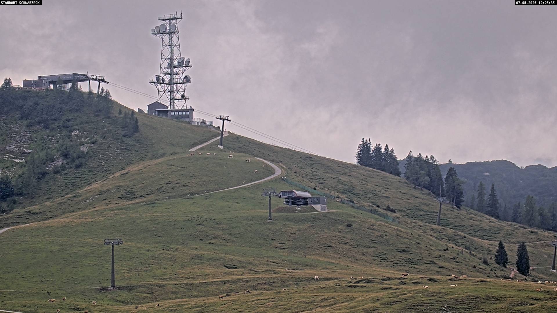 Archiv Foto Webcam Loferer Alm: Schönbühelblick